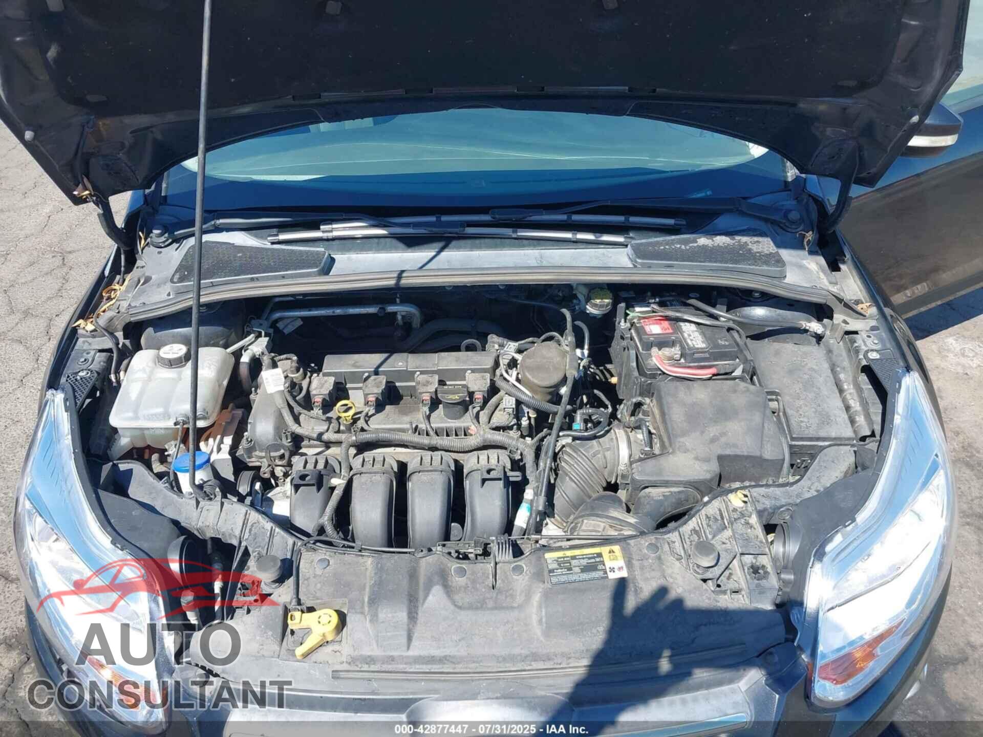 FORD FOCUS 2014 - 1FADP3K24EL238040