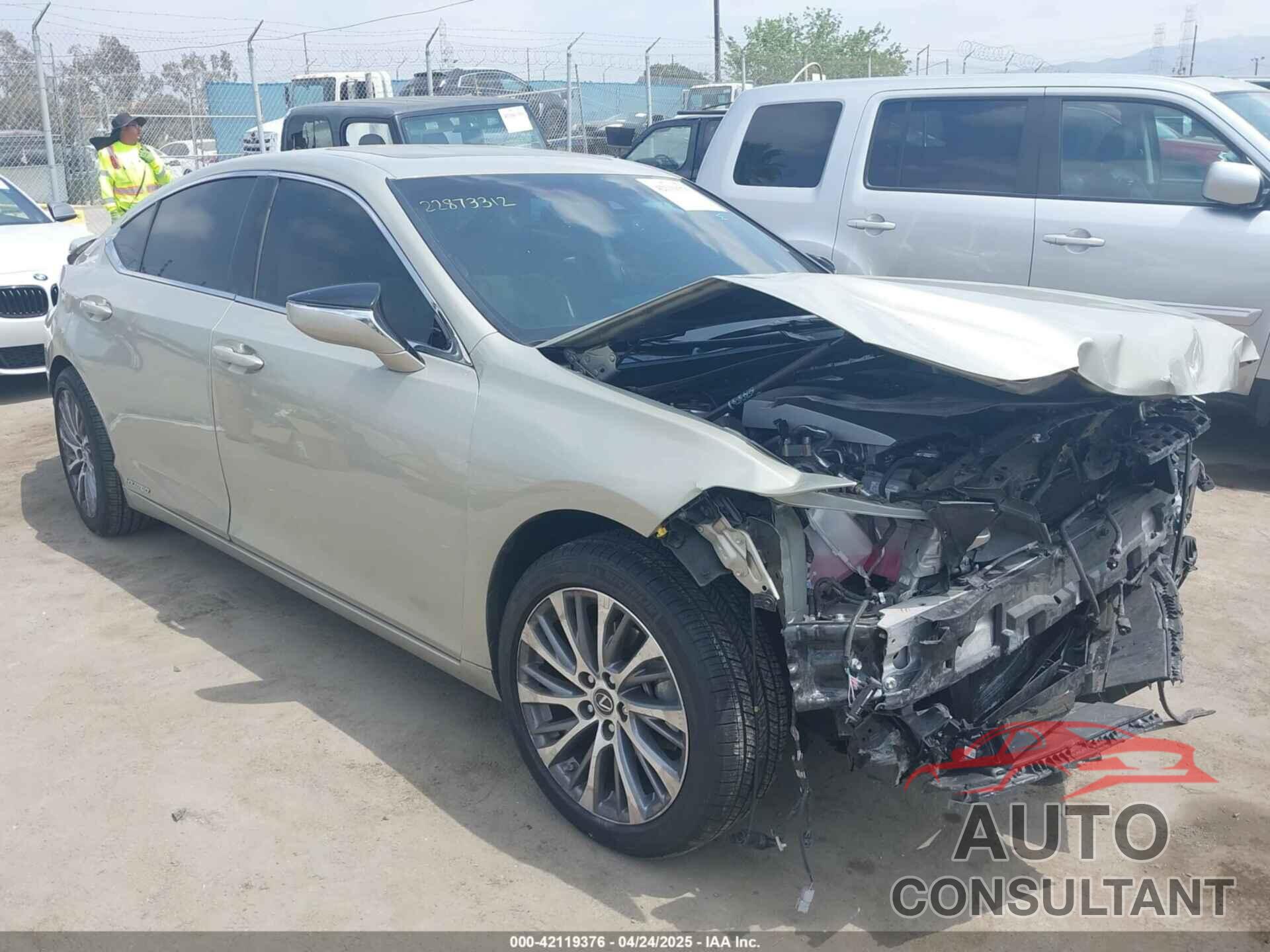 LEXUS ES 300H 2021 - 58ADA1C13MU006581