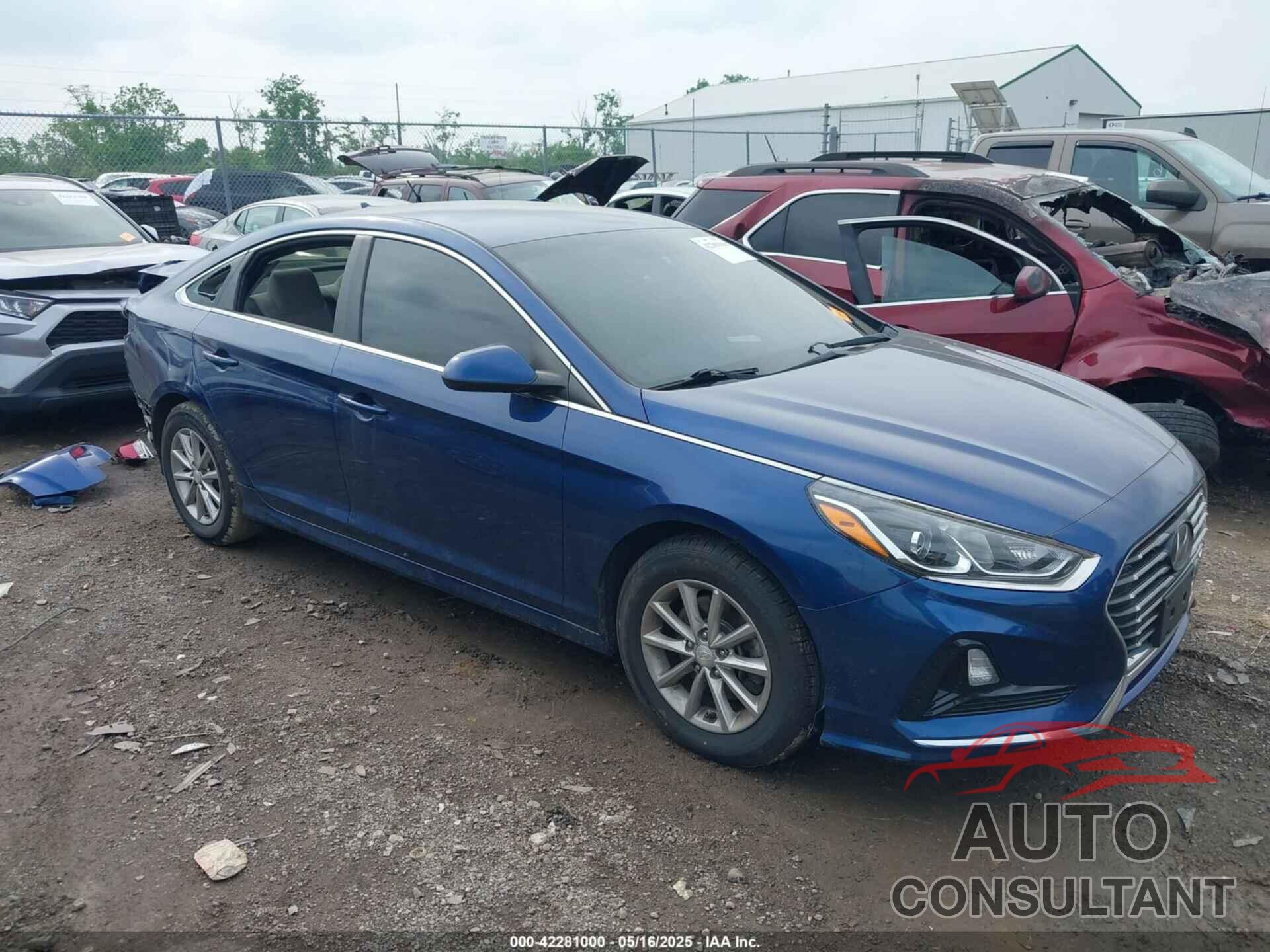 HYUNDAI SONATA 2019 - 5NPE24AF2KH789977