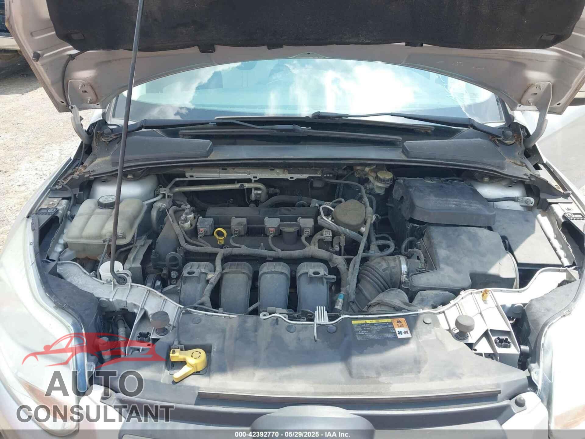 FORD FOCUS 2013 - 1FADP3F21DL344924