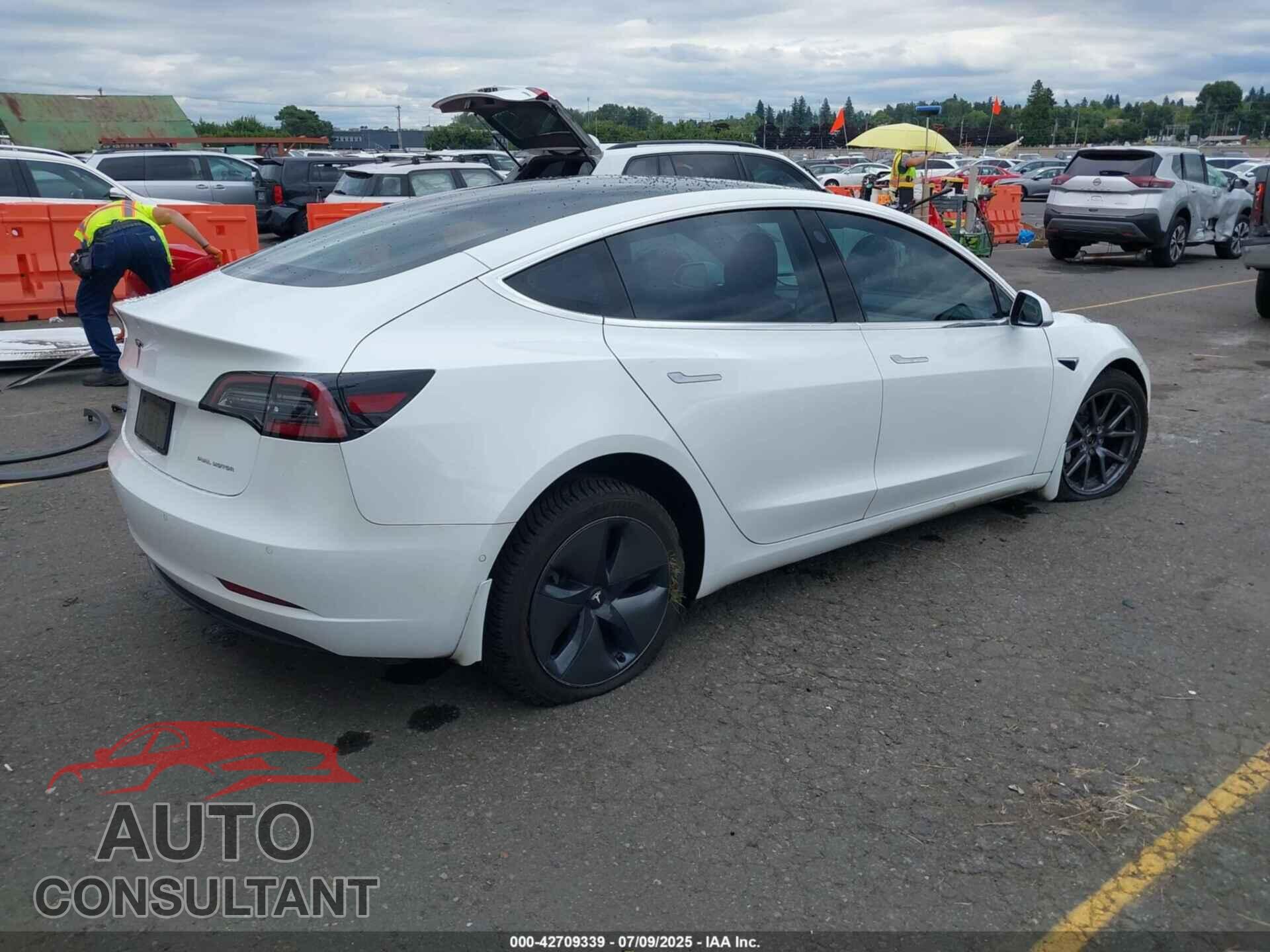 TESLA MODEL 3 2019 - 5YJ3E1EB8KF451860