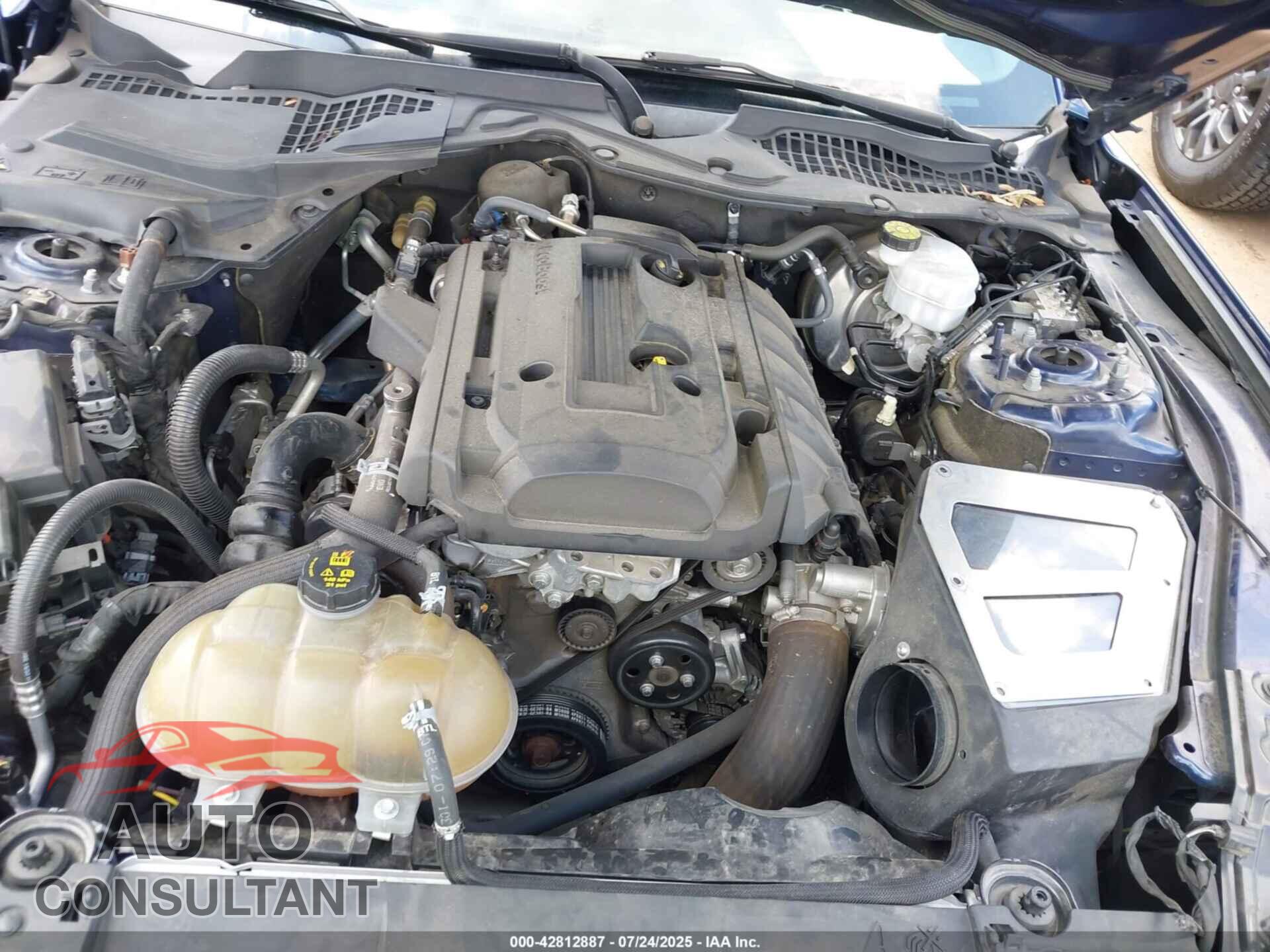 FORD MUSTANG 2019 - 1FA6P8TH2K5142318