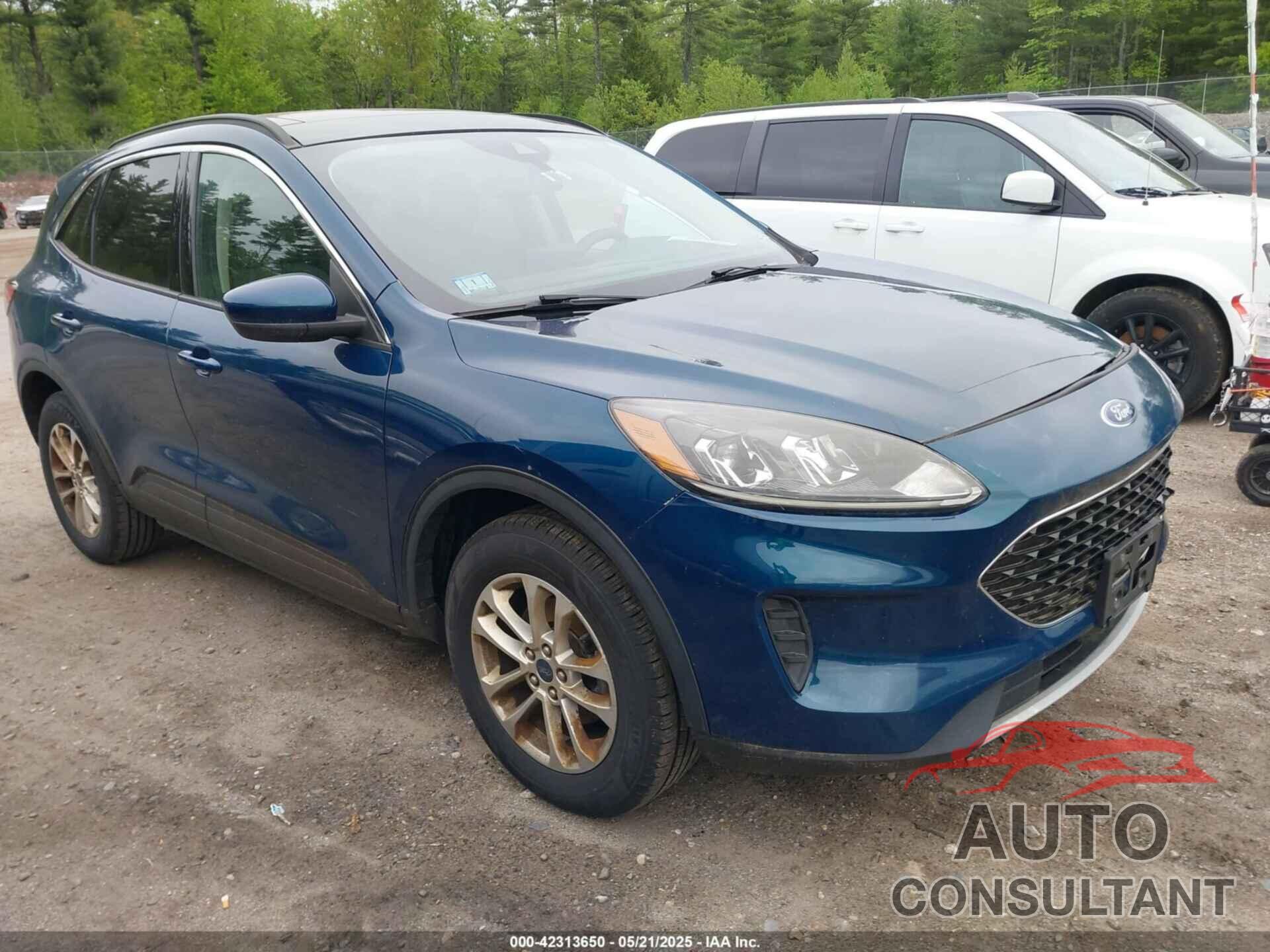 FORD ESCAPE 2020 - 1FMCU9G66LUC32126