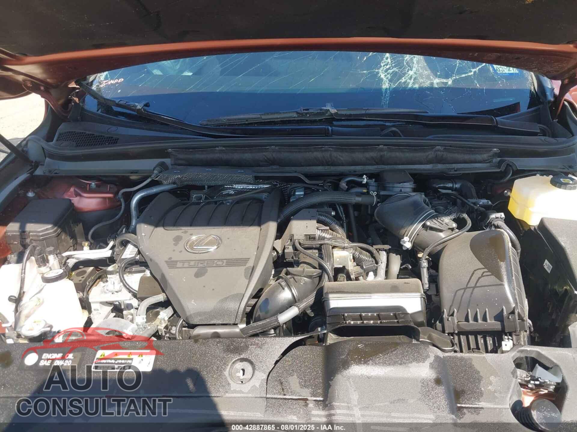 LEXUS RX 500H 2025 - 2T2BCMEA8SC022082