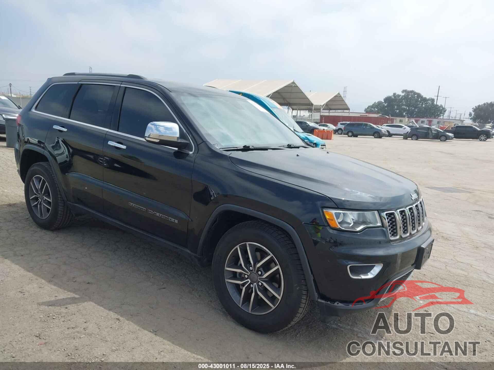 JEEP GRAND CHEROKEE 2019 - 1C4RJFBG4KC685977