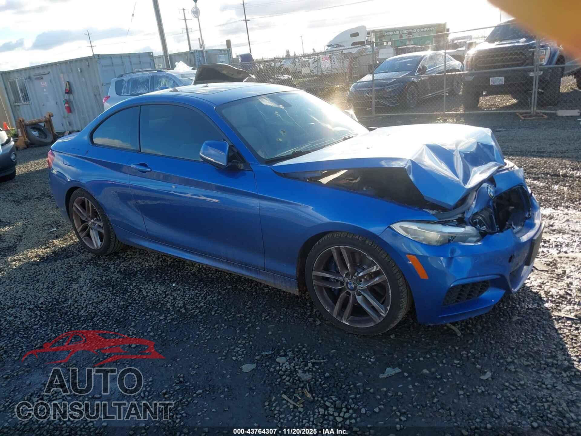 BMW 228I 2014 - WBA1F5C58EVV99745