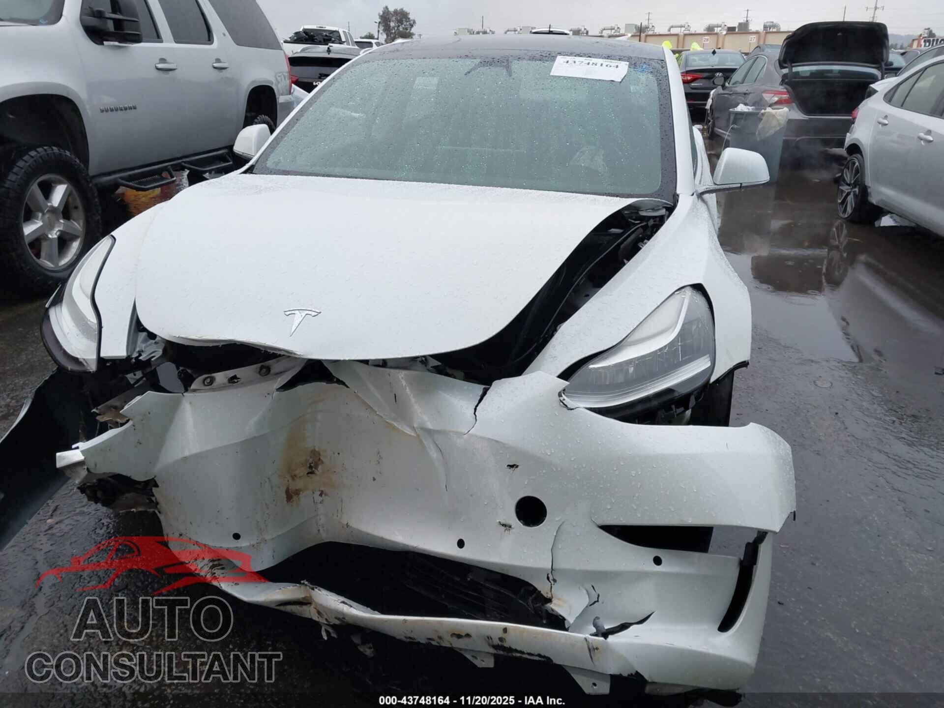 TESLA MODEL 3 2019 - 5YJ3E1EBXKF365773