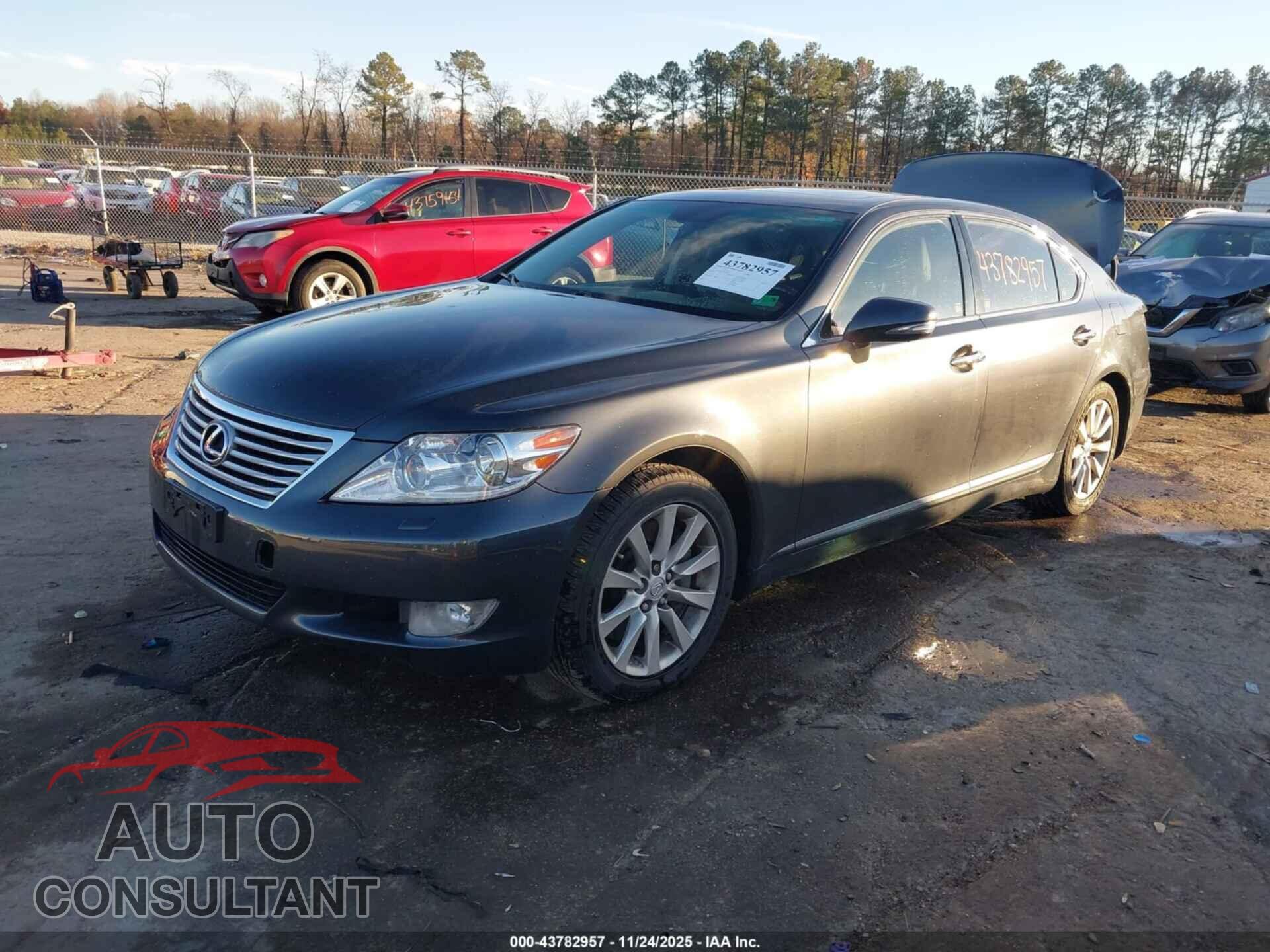 LEXUS LS 460 2011 - JTHDL5EF3B5003224