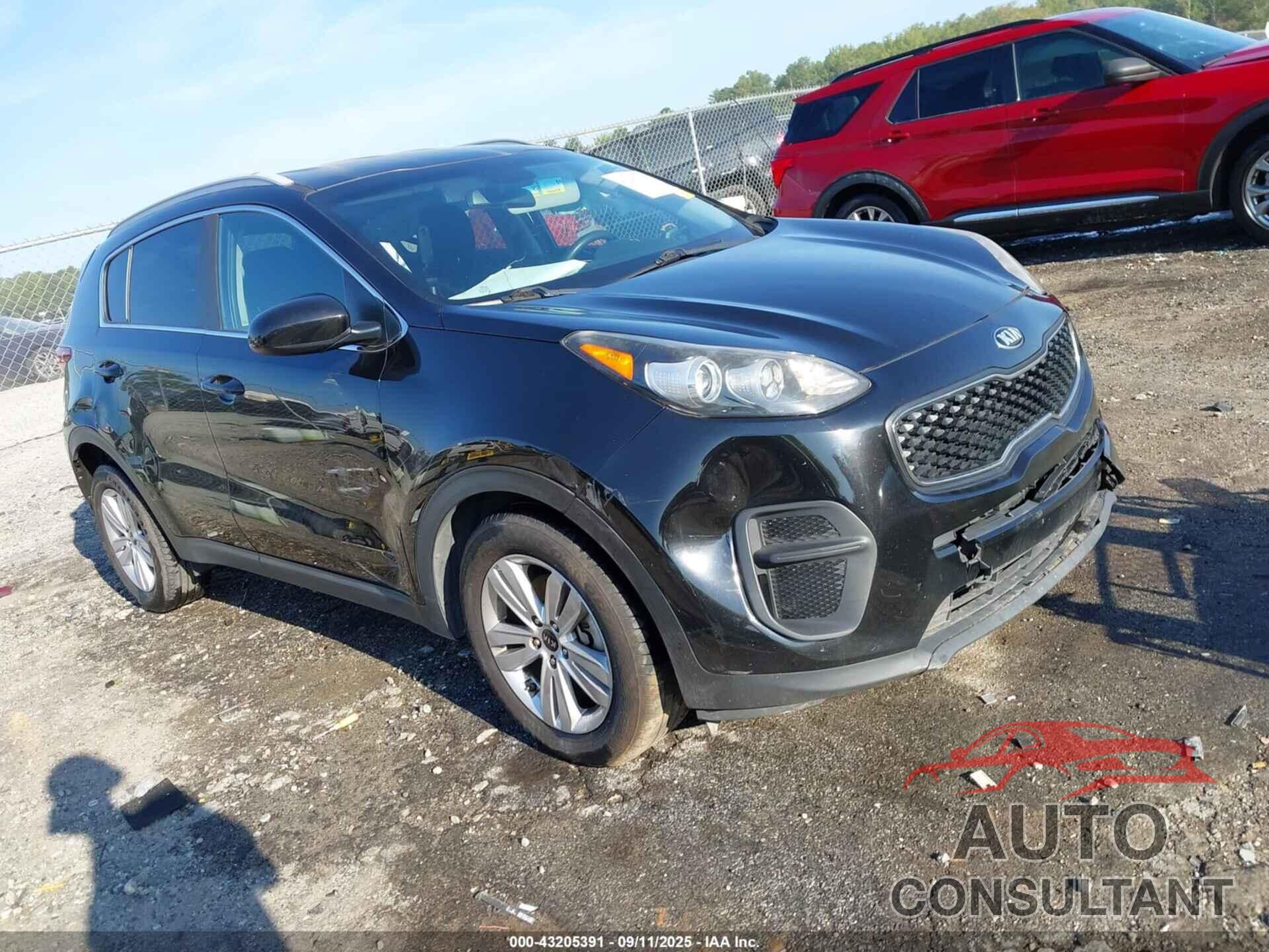 KIA SPORTAGE 2019 - KNDPM3AC4K7547621