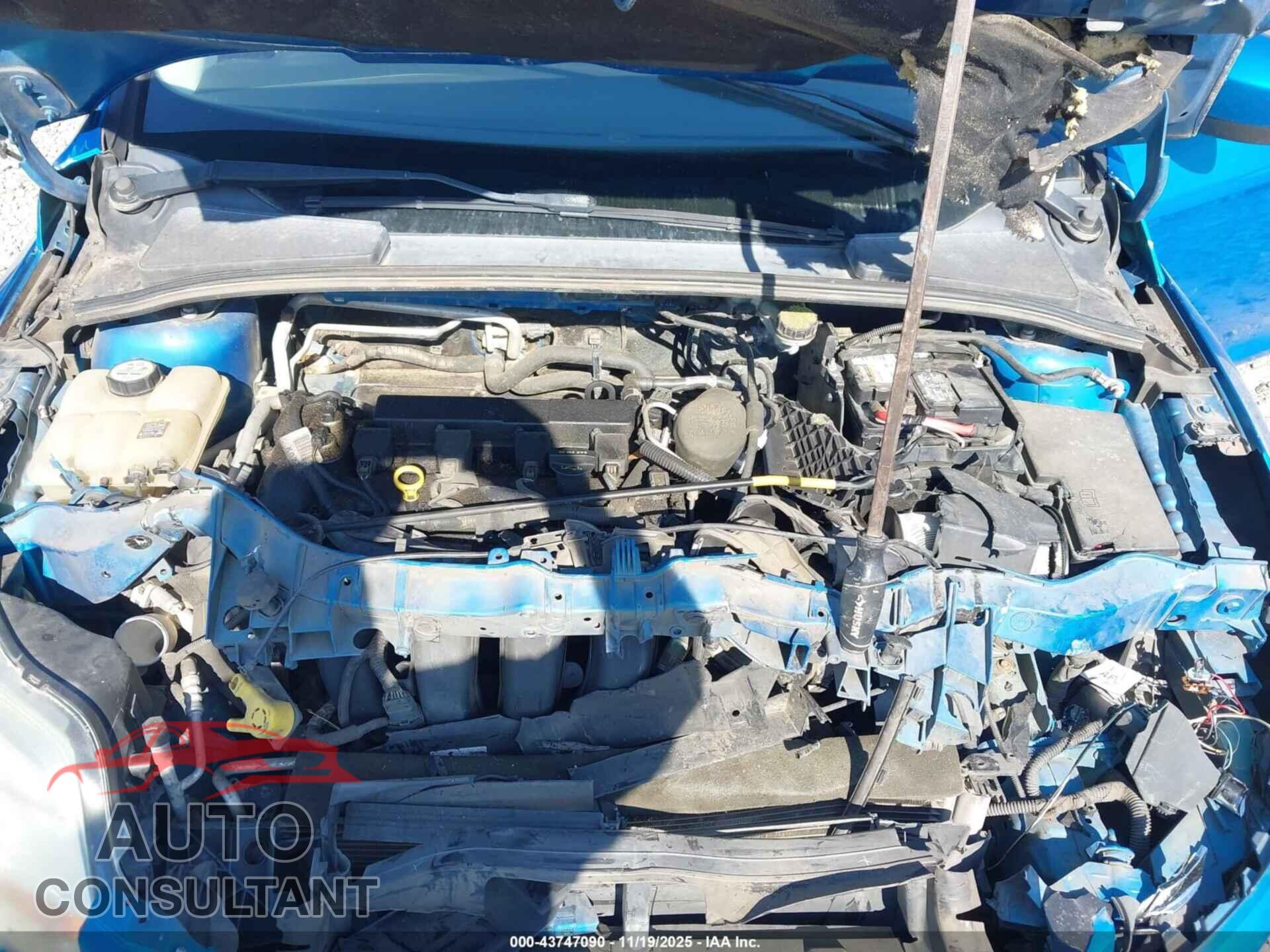 FORD FOCUS 2012 - 1FAHP3F26CL204898