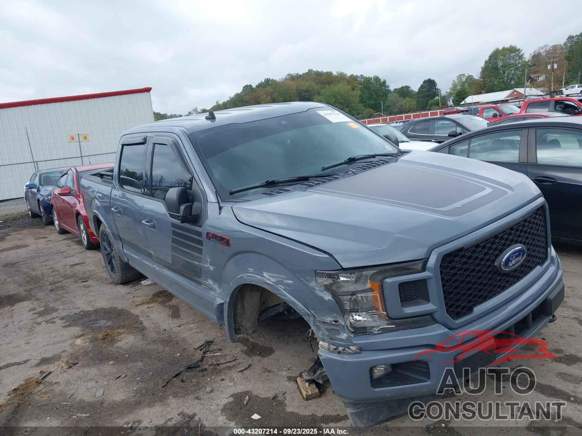 FORD F-150 2019 - 1FTEW1EP0KFC43226