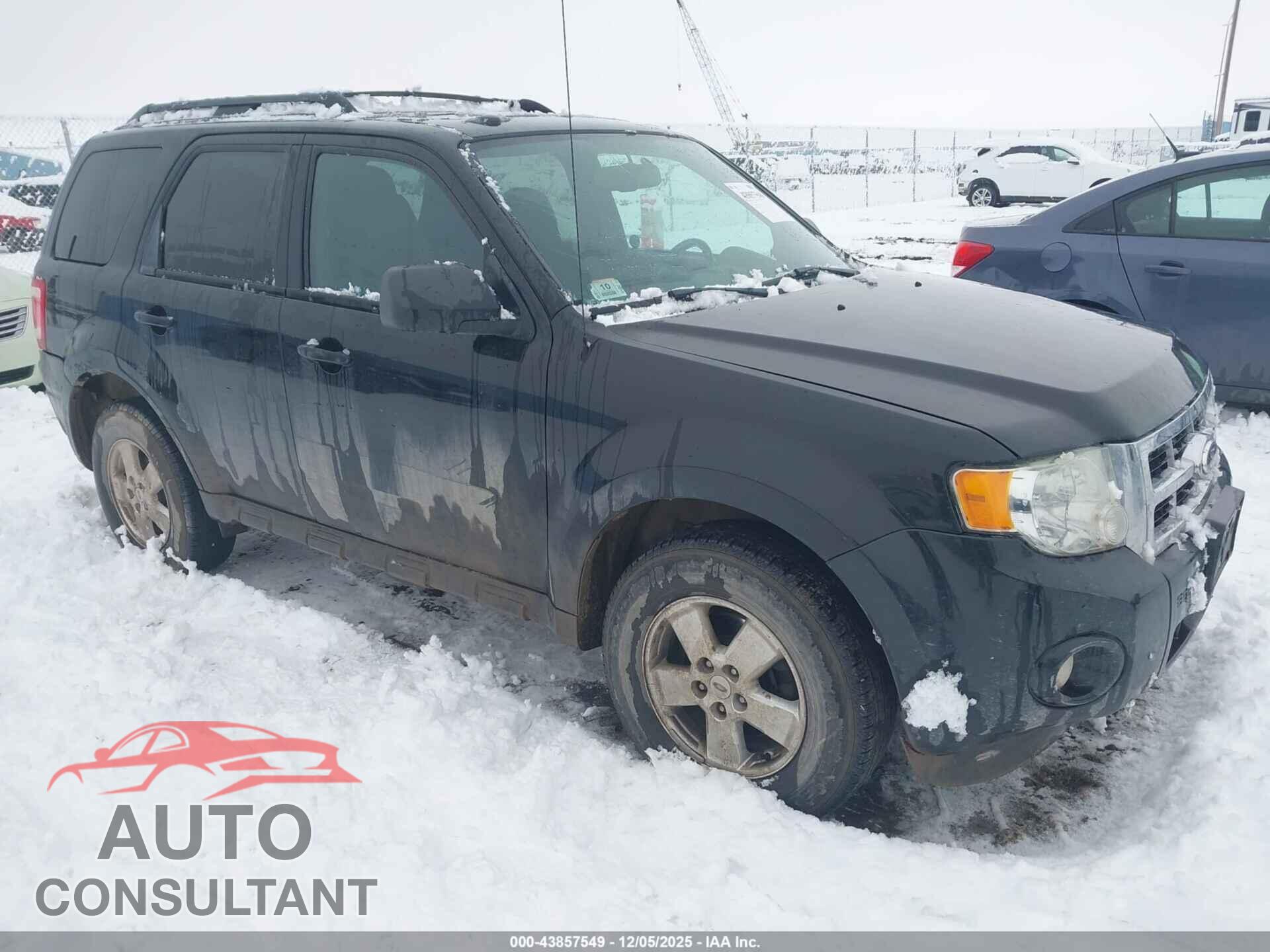 FORD ESCAPE 2011 - 1FMCU9D79BKA85520