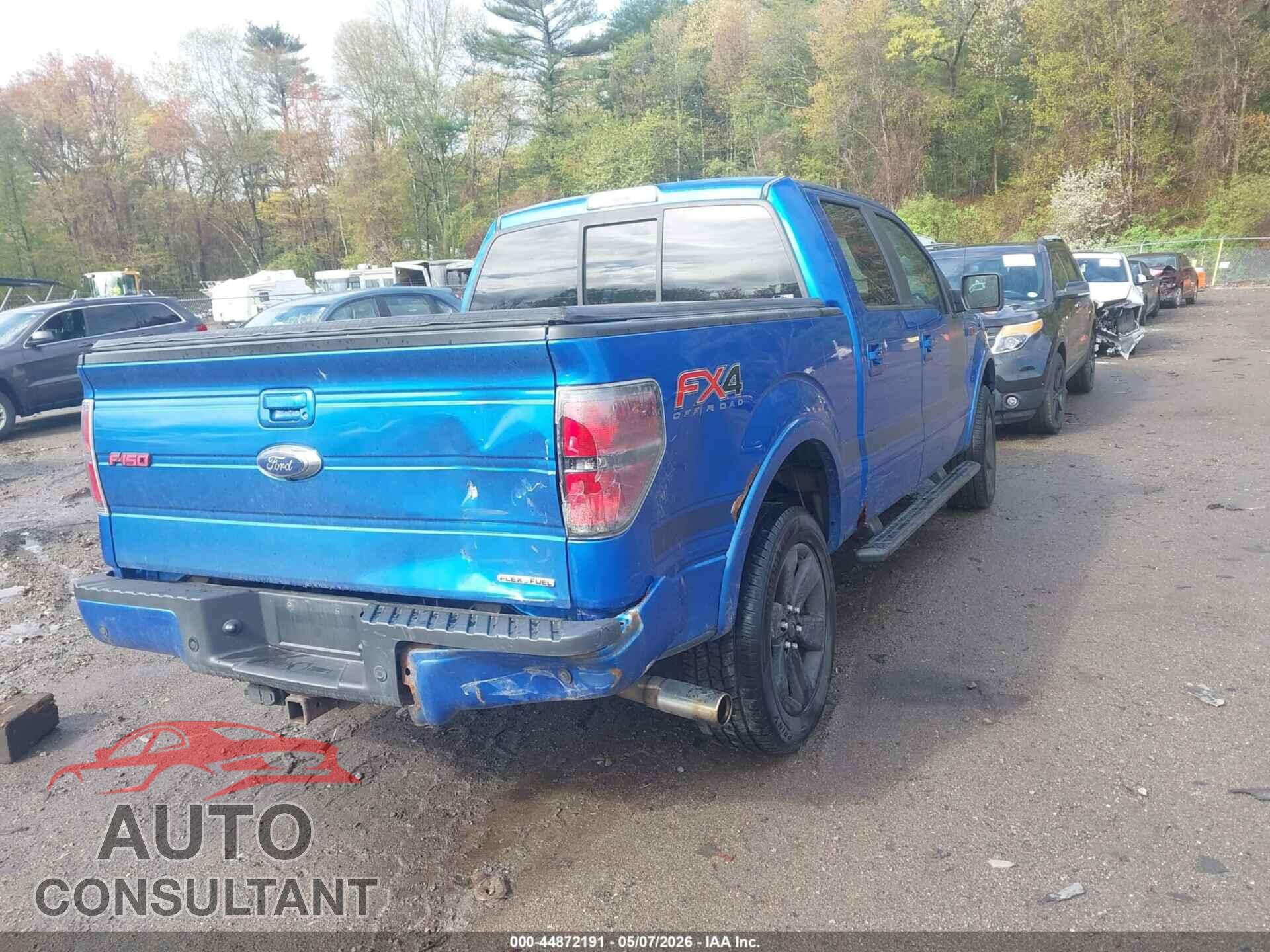 FORD F-150 2013 - 1FTFW1EF8DFD60325