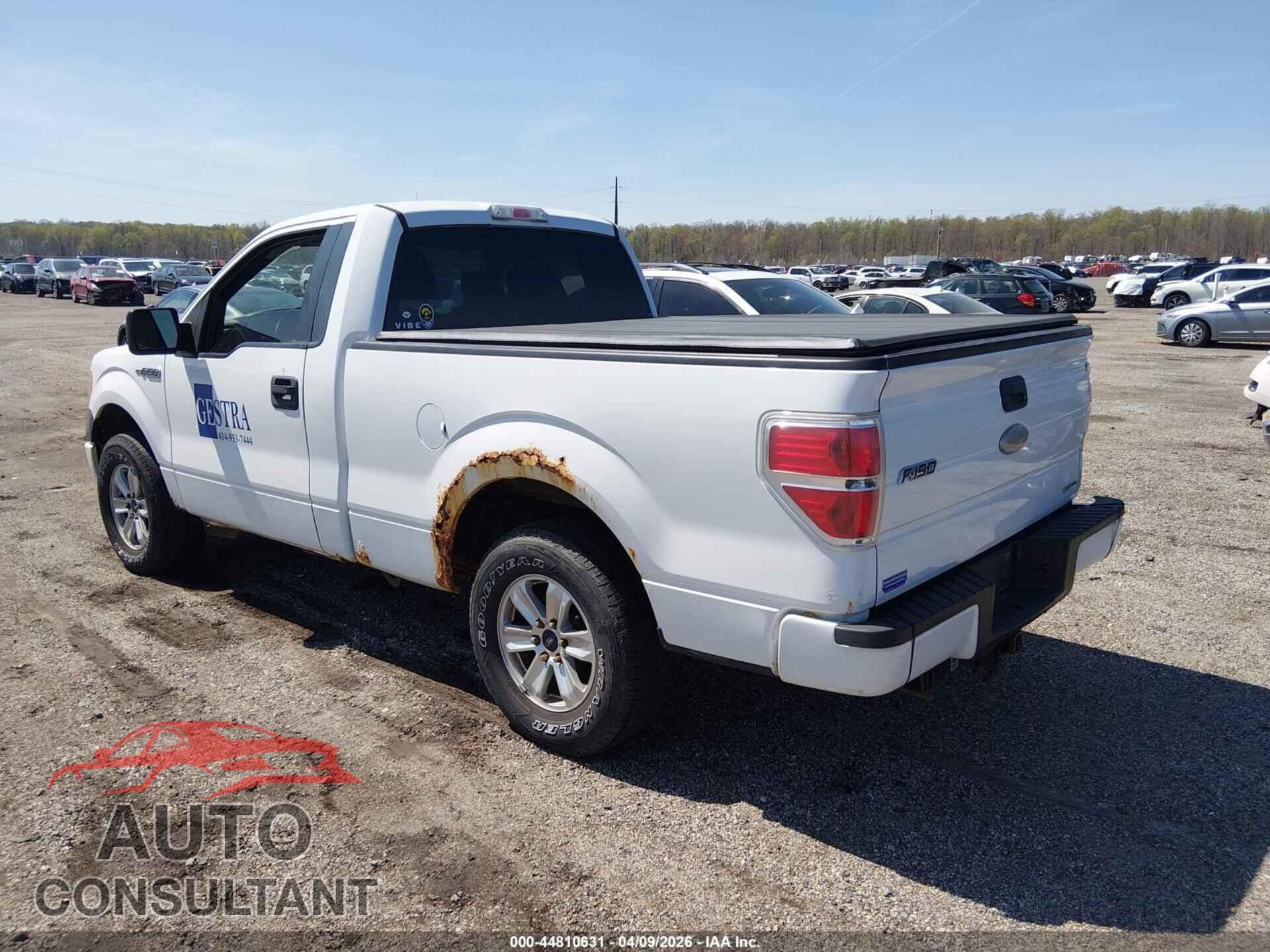 FORD F-150 2011 - 1FTMF1CF3BFC07861