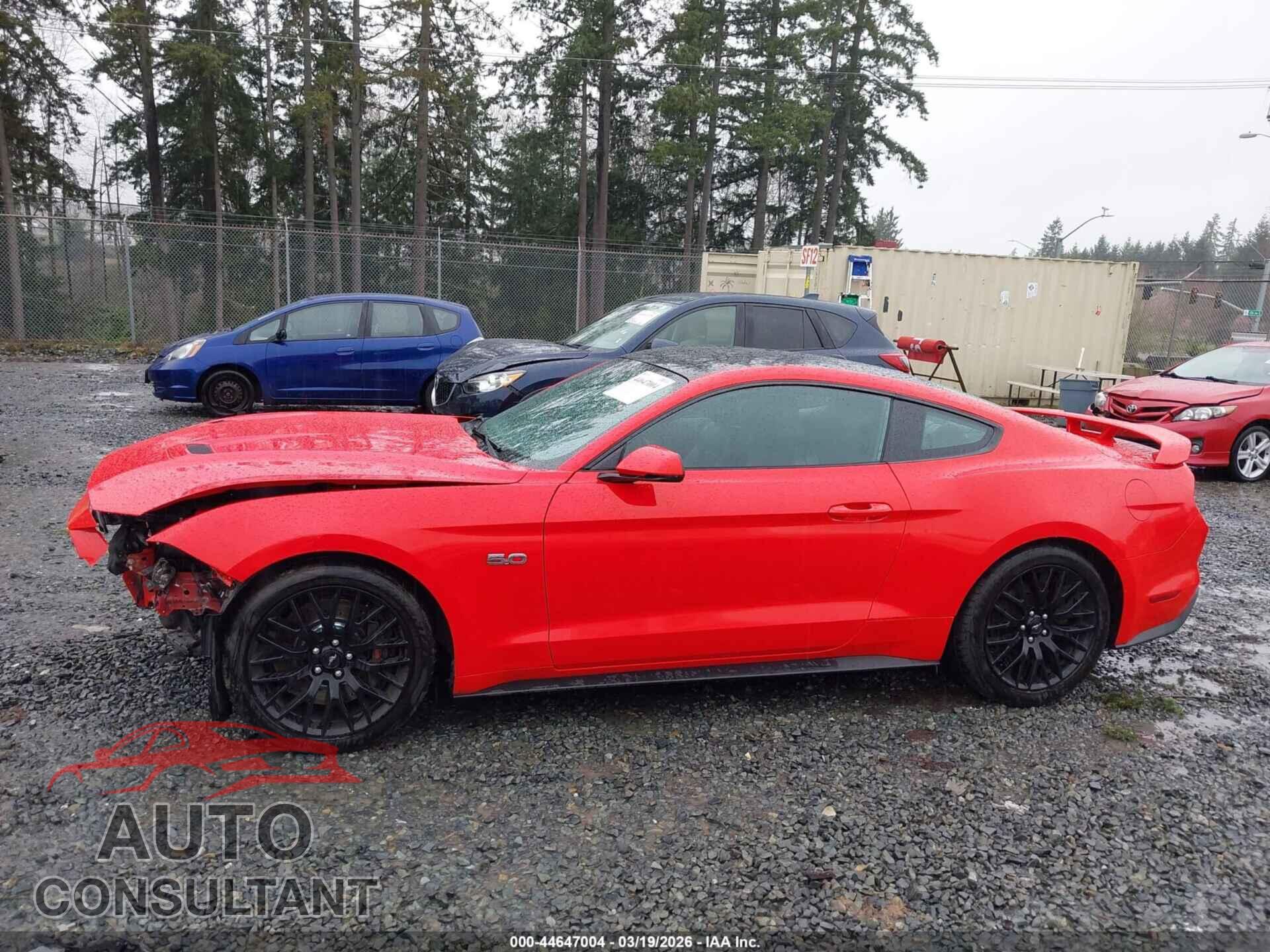 FORD MUSTANG 2019 - 1FA6P8CF7K5163731