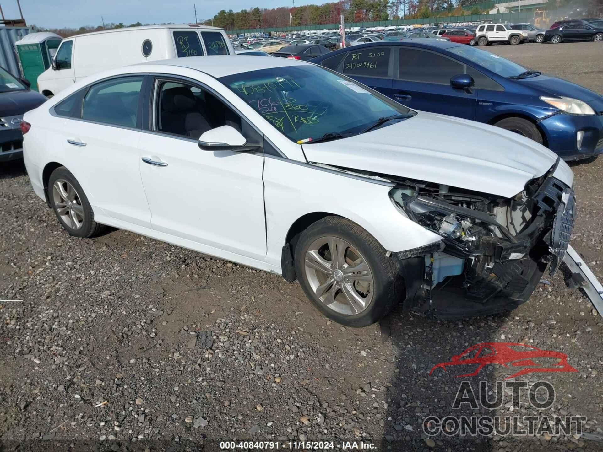 HYUNDAI SONATA 2019 - 5NPE34AF8KH812630