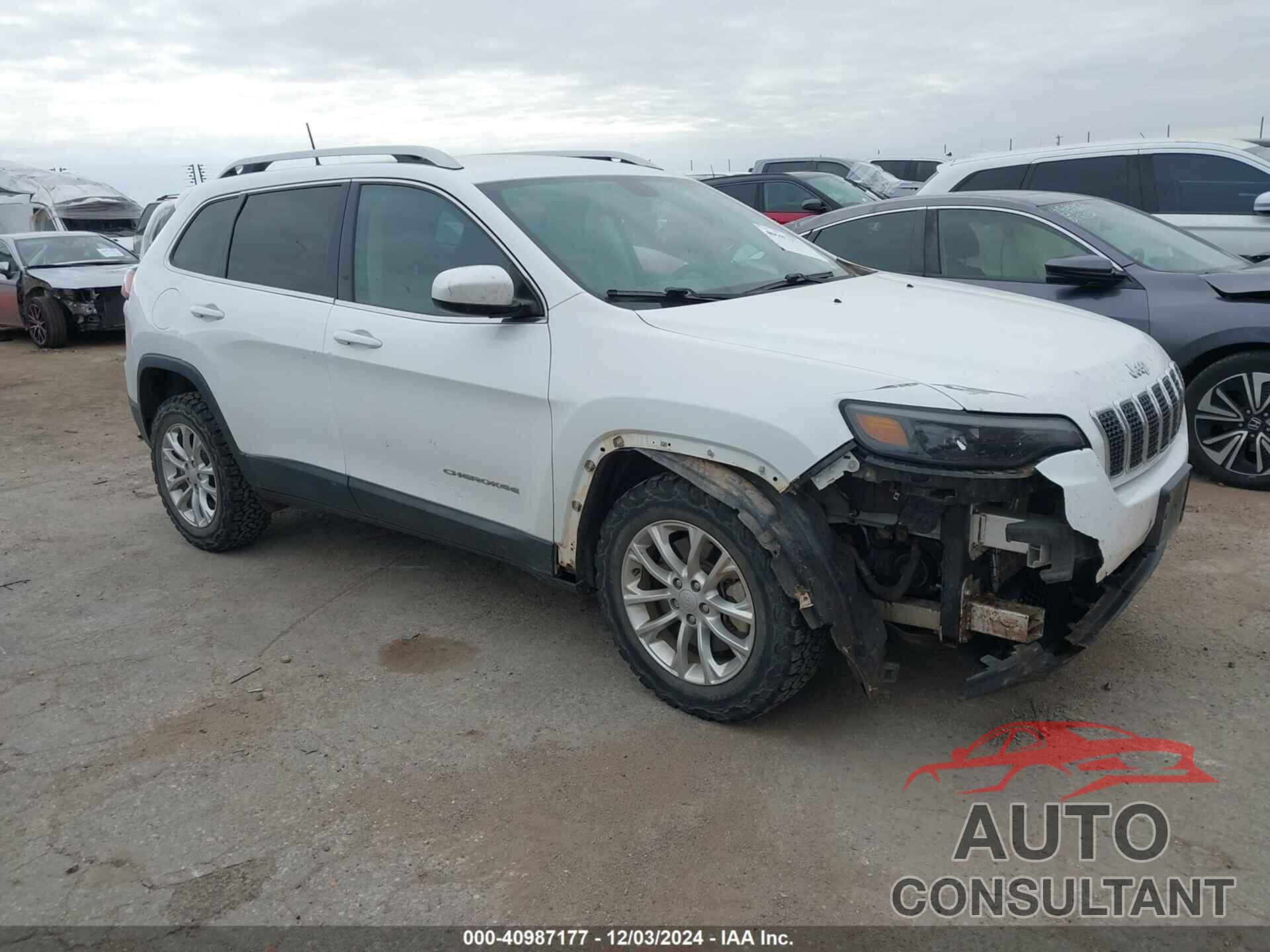 JEEP CHEROKEE 2019 - 1C4PJLCB1KD247145