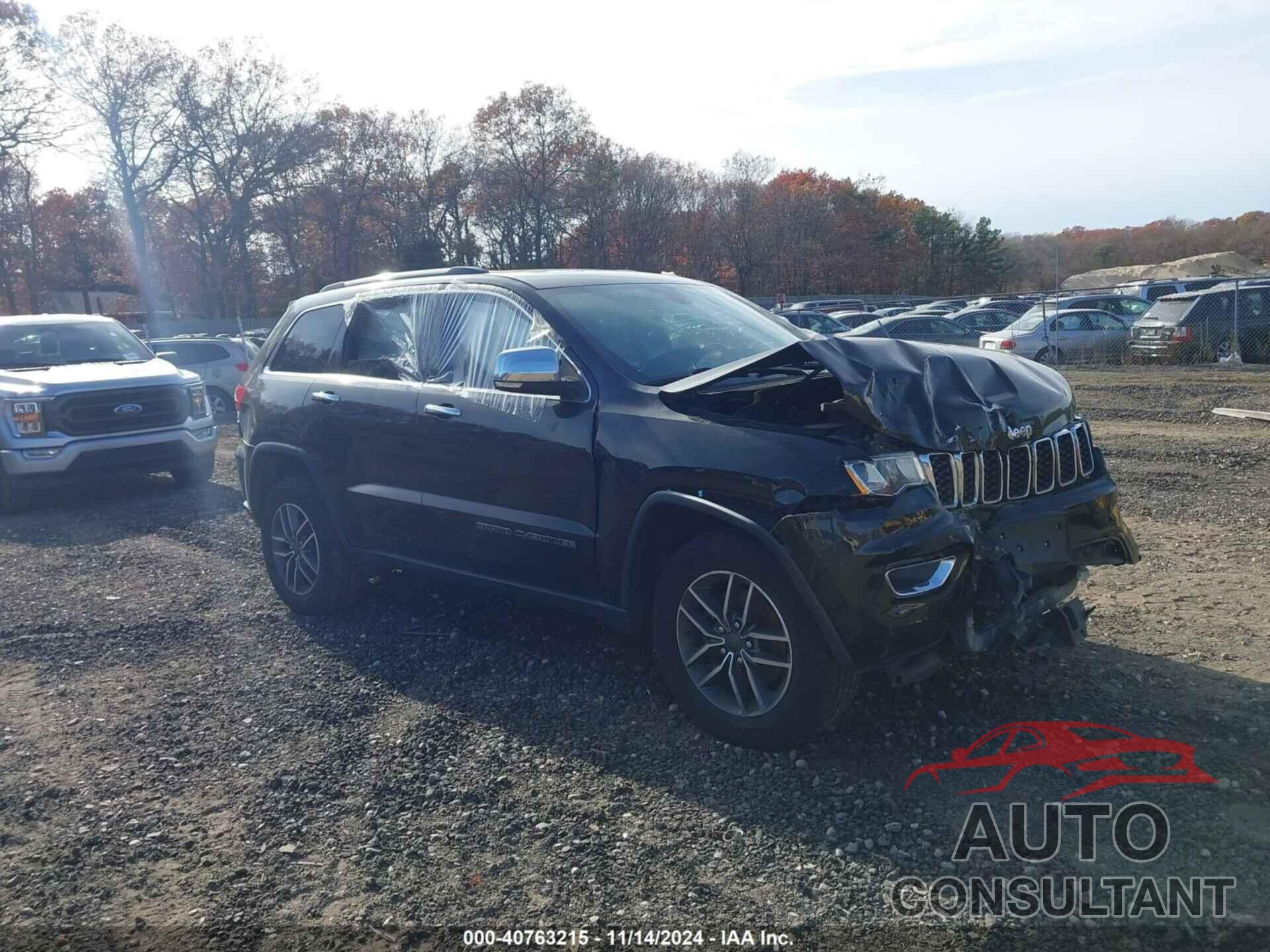 JEEP GRAND CHEROKEE 2019 - 1C4RJFBG8KC766786