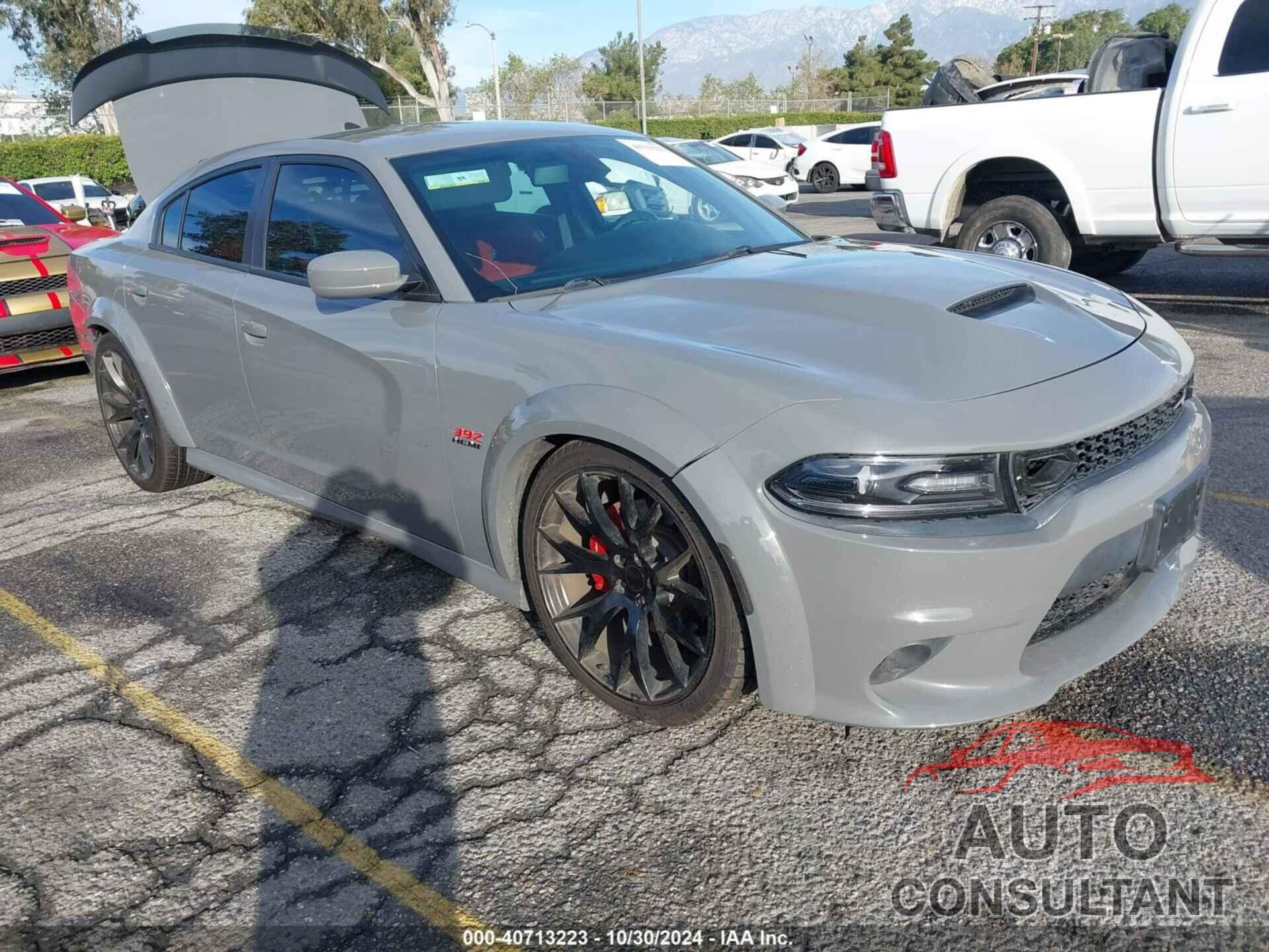 DODGE CHARGER 2019 - 2C3CDXGJ8KH717936