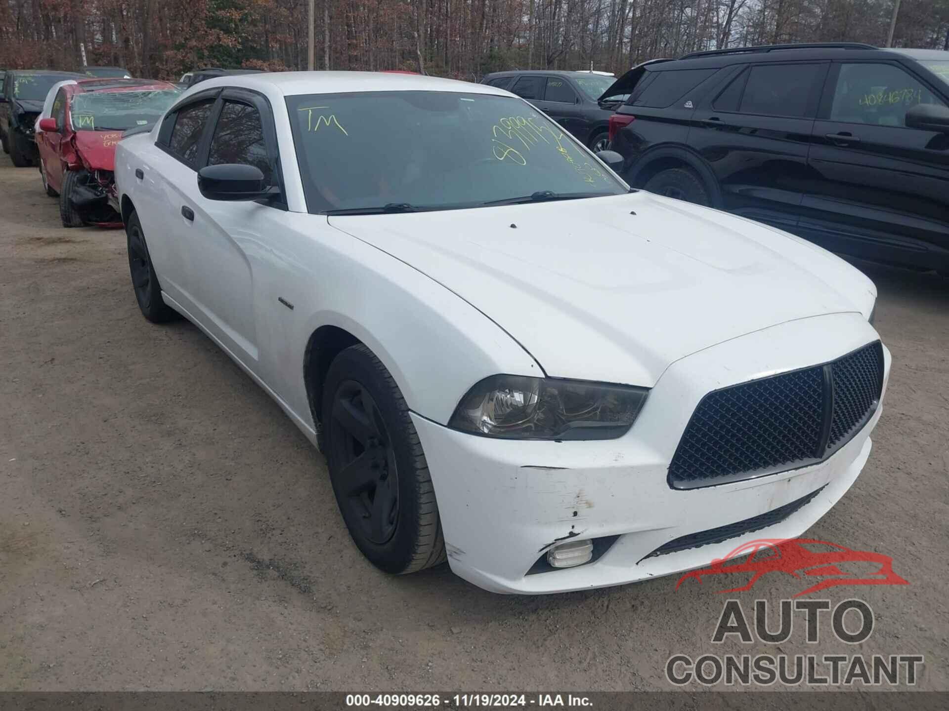 DODGE CHARGER 2013 - 2C3CDXAT9DH721832