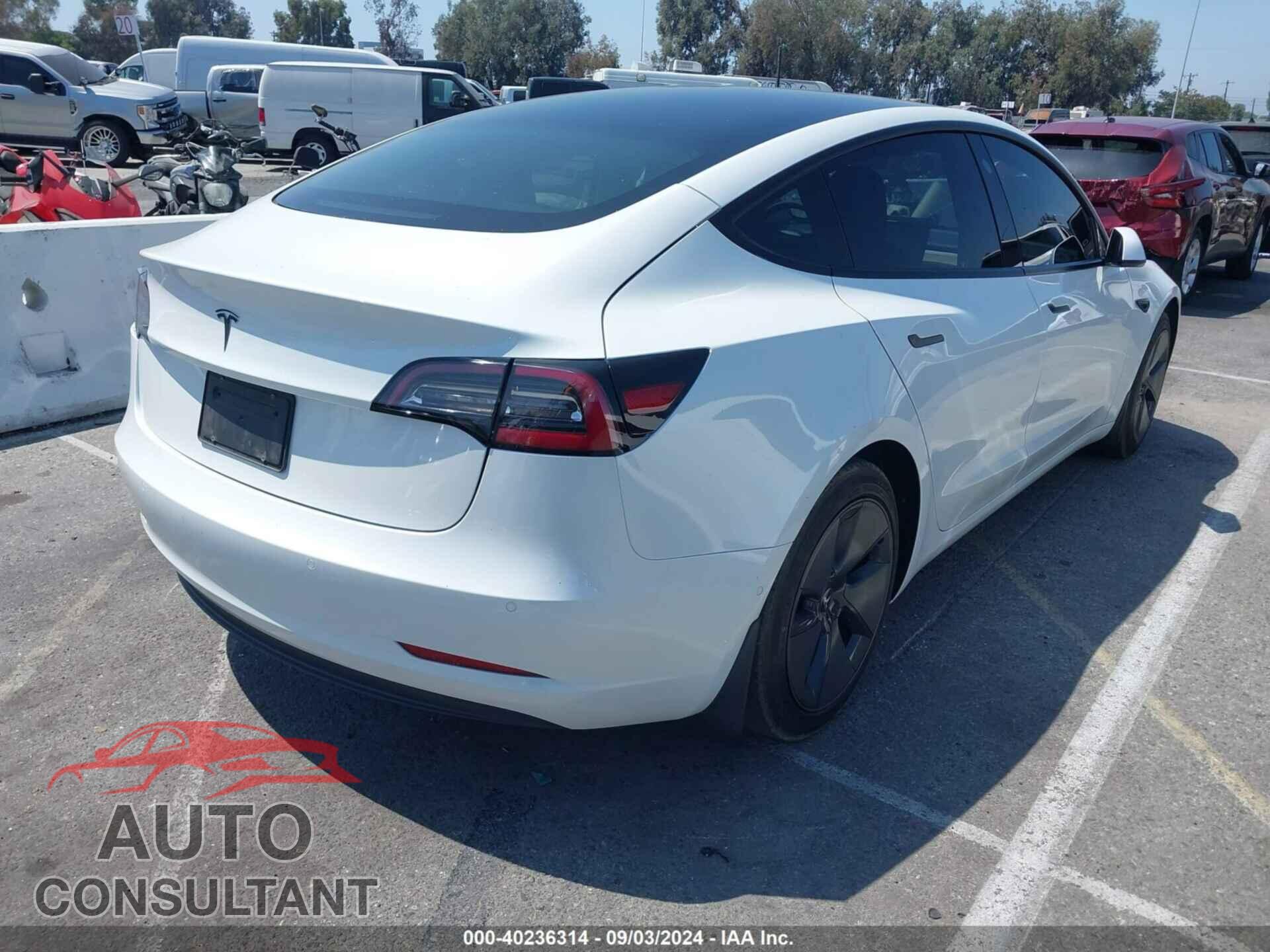 TESLA MODEL 3 2021 - 5YJ3E1EA9MF991177