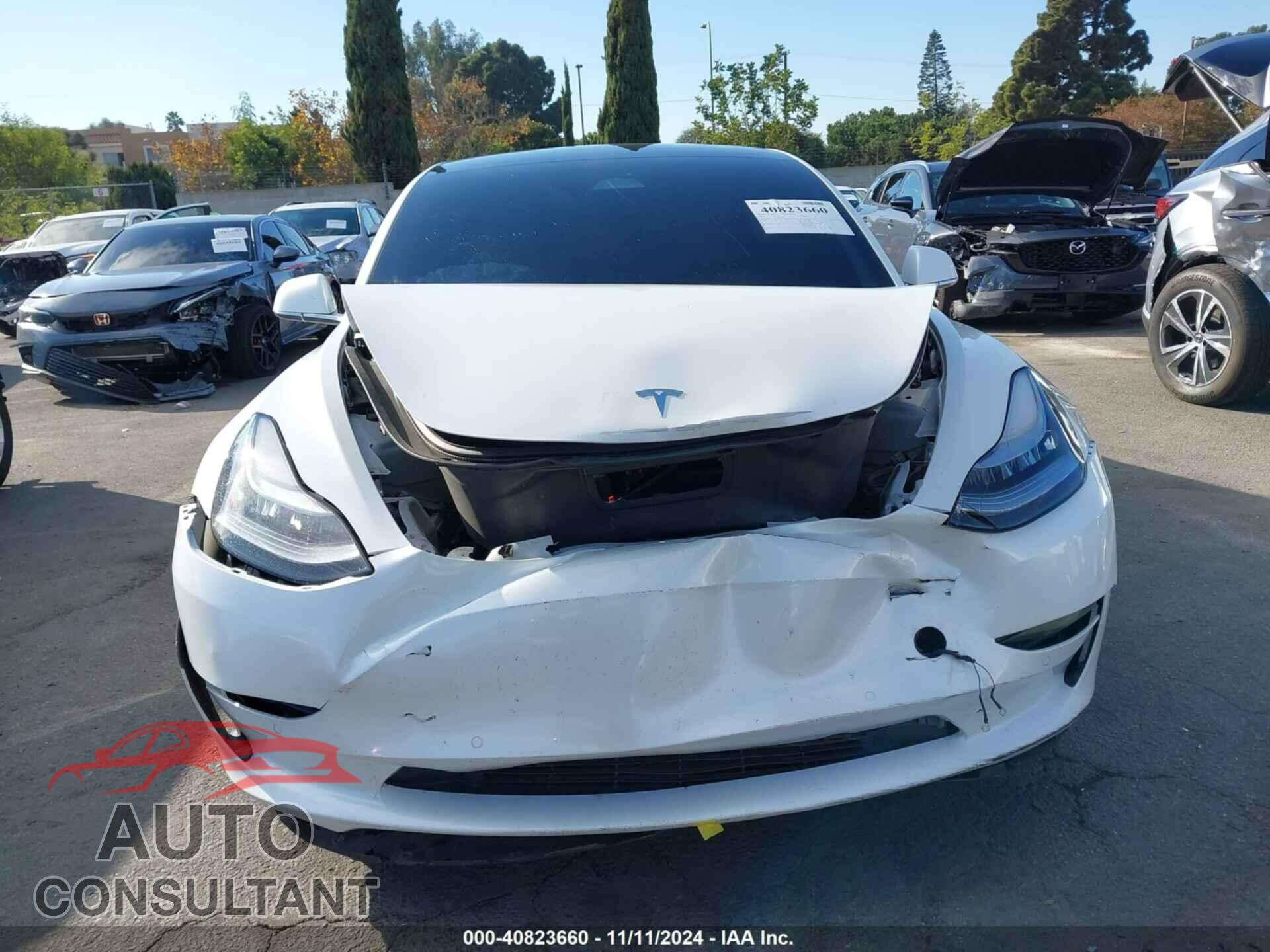 TESLA MODEL 3 2020 - 5YJ3E1EA1LF805212