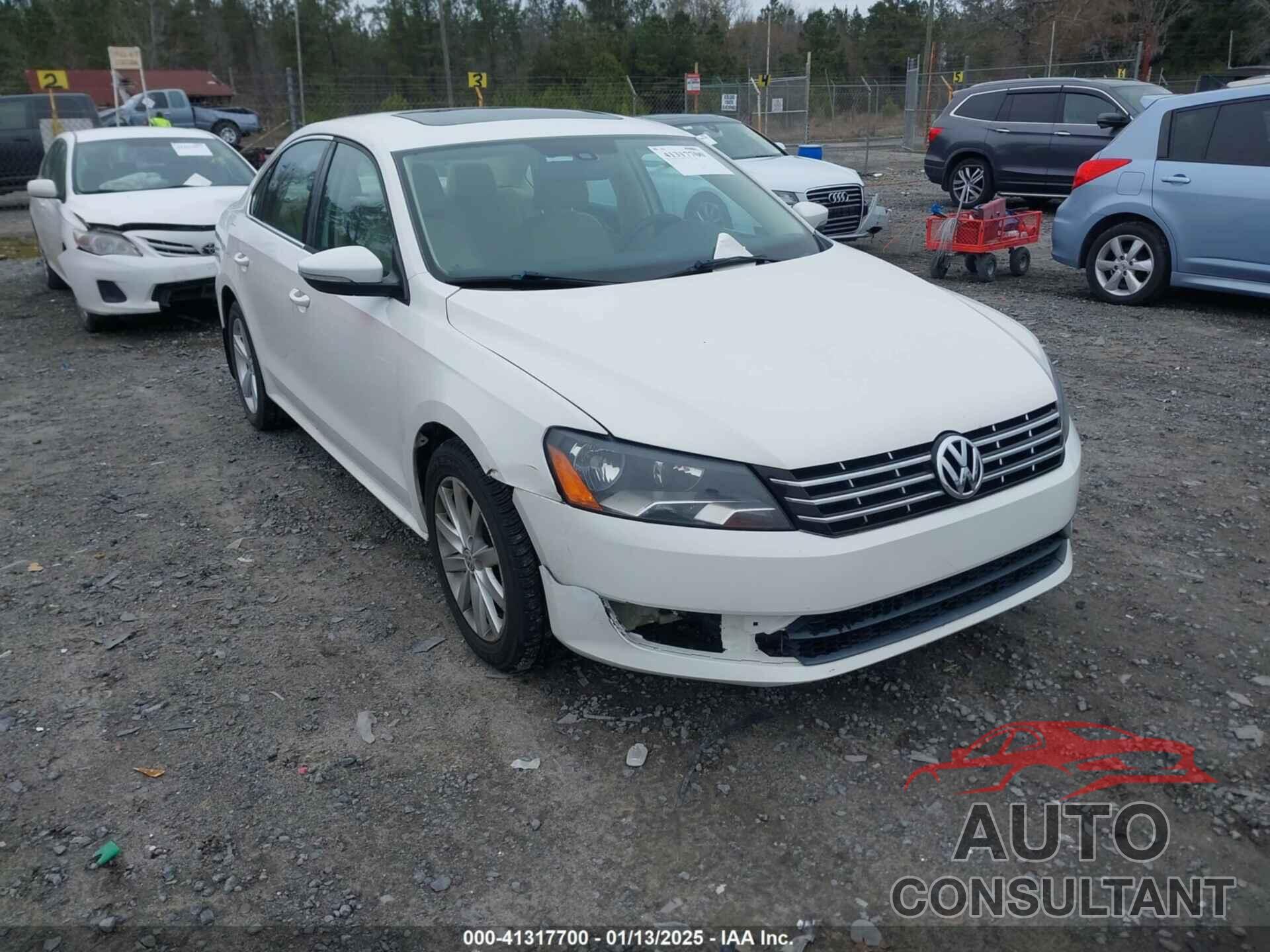 VOLKSWAGEN PASSAT 2013 - 1VWBN7A33DC141142