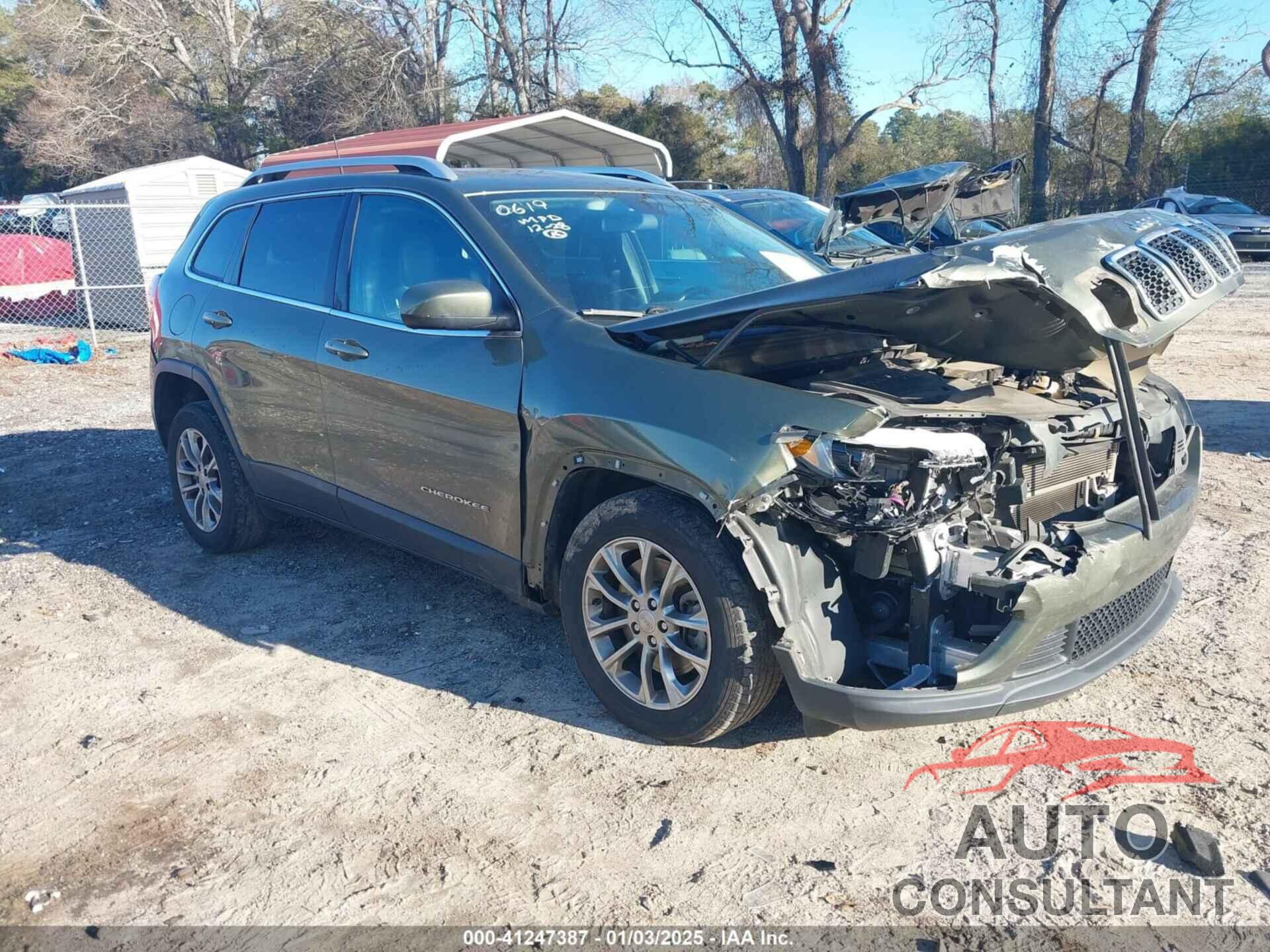 JEEP CHEROKEE 2019 - 1C4PJLLB4KD110619