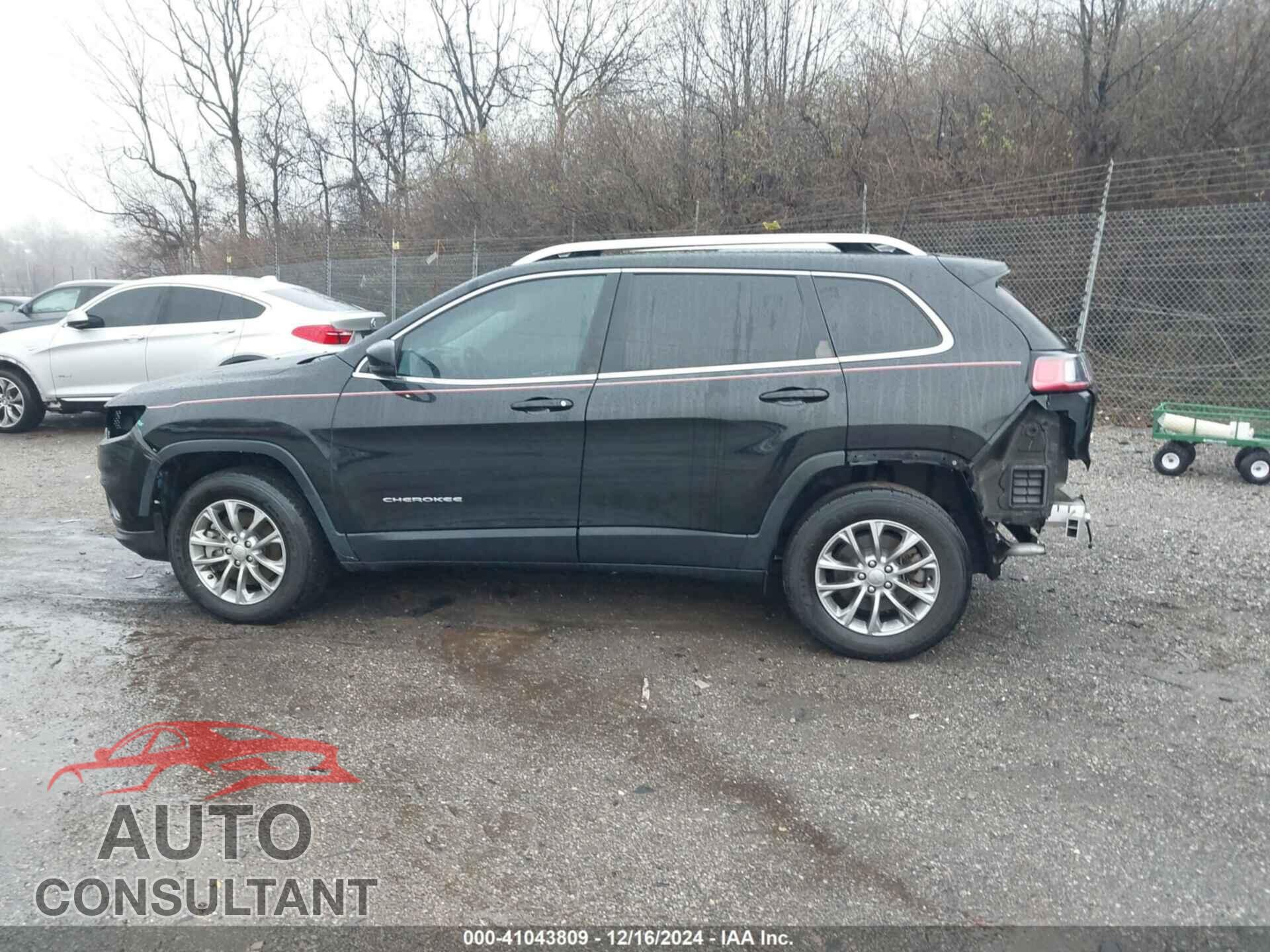 JEEP CHEROKEE 2019 - 1C4PJMLX2KD271665