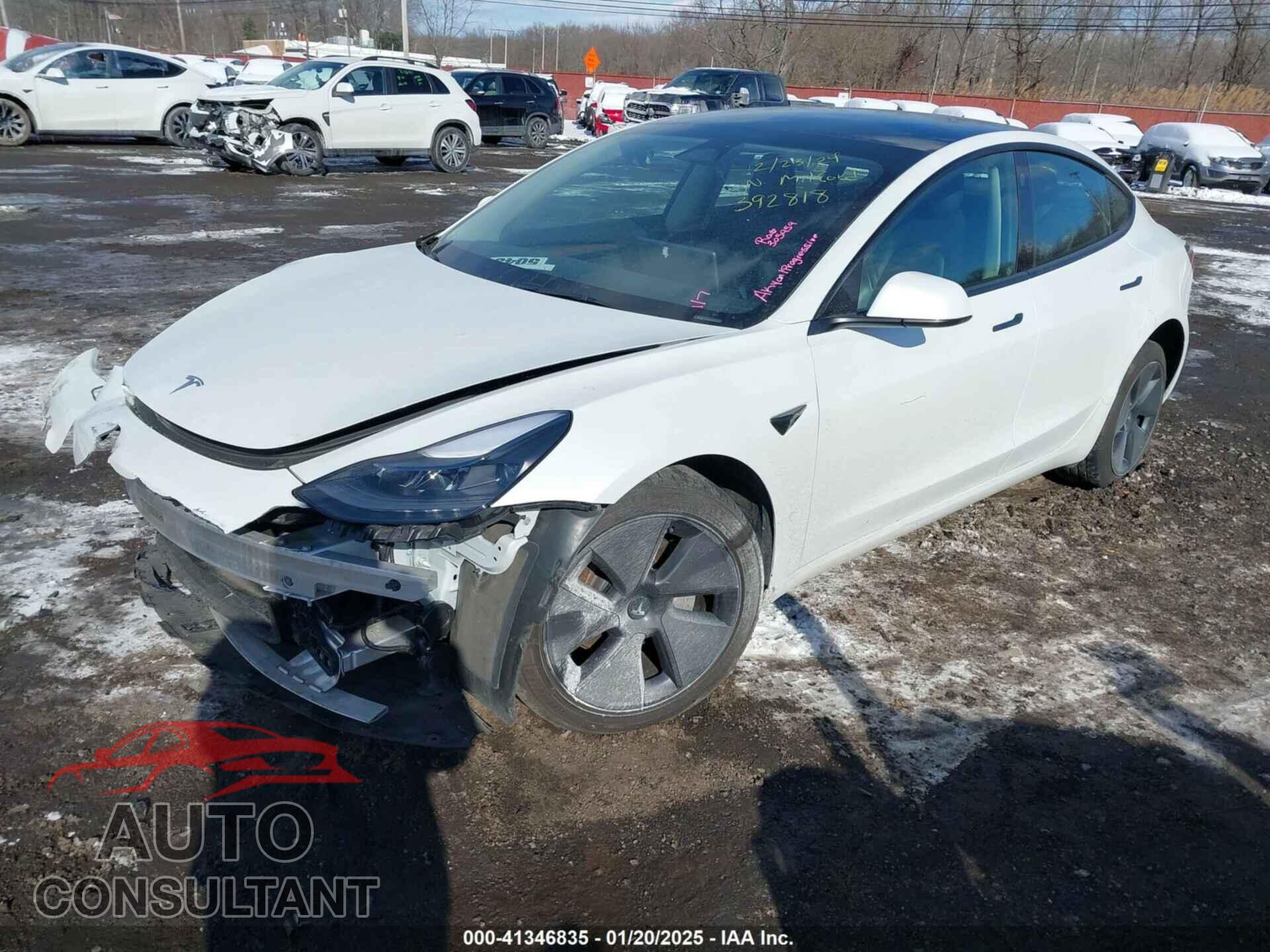 TESLA MODEL 3 2023 - 5YJ3E1EBXPF392818