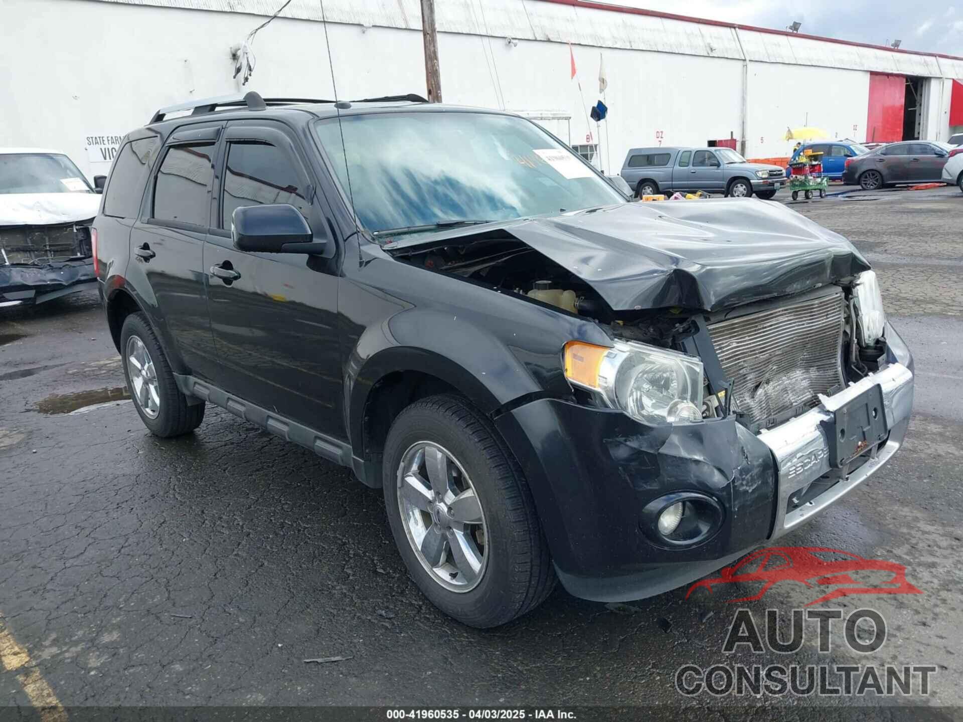FORD ESCAPE 2011 - 1FMCU9EG9BKA01551