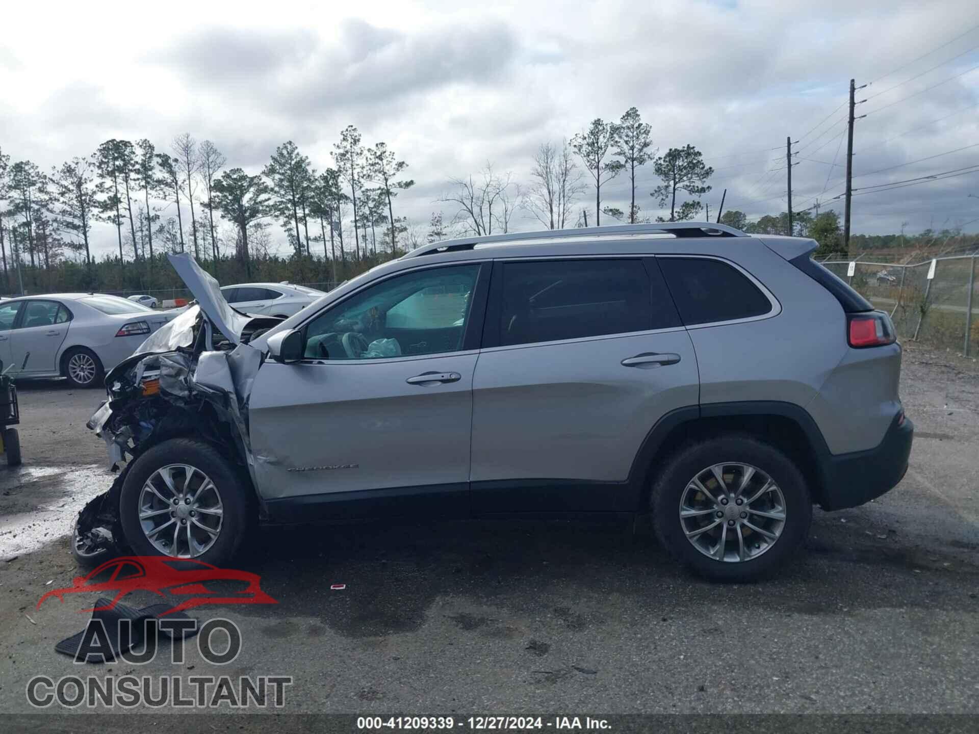 JEEP CHEROKEE 2019 - 1C4PJMLX3KD185572