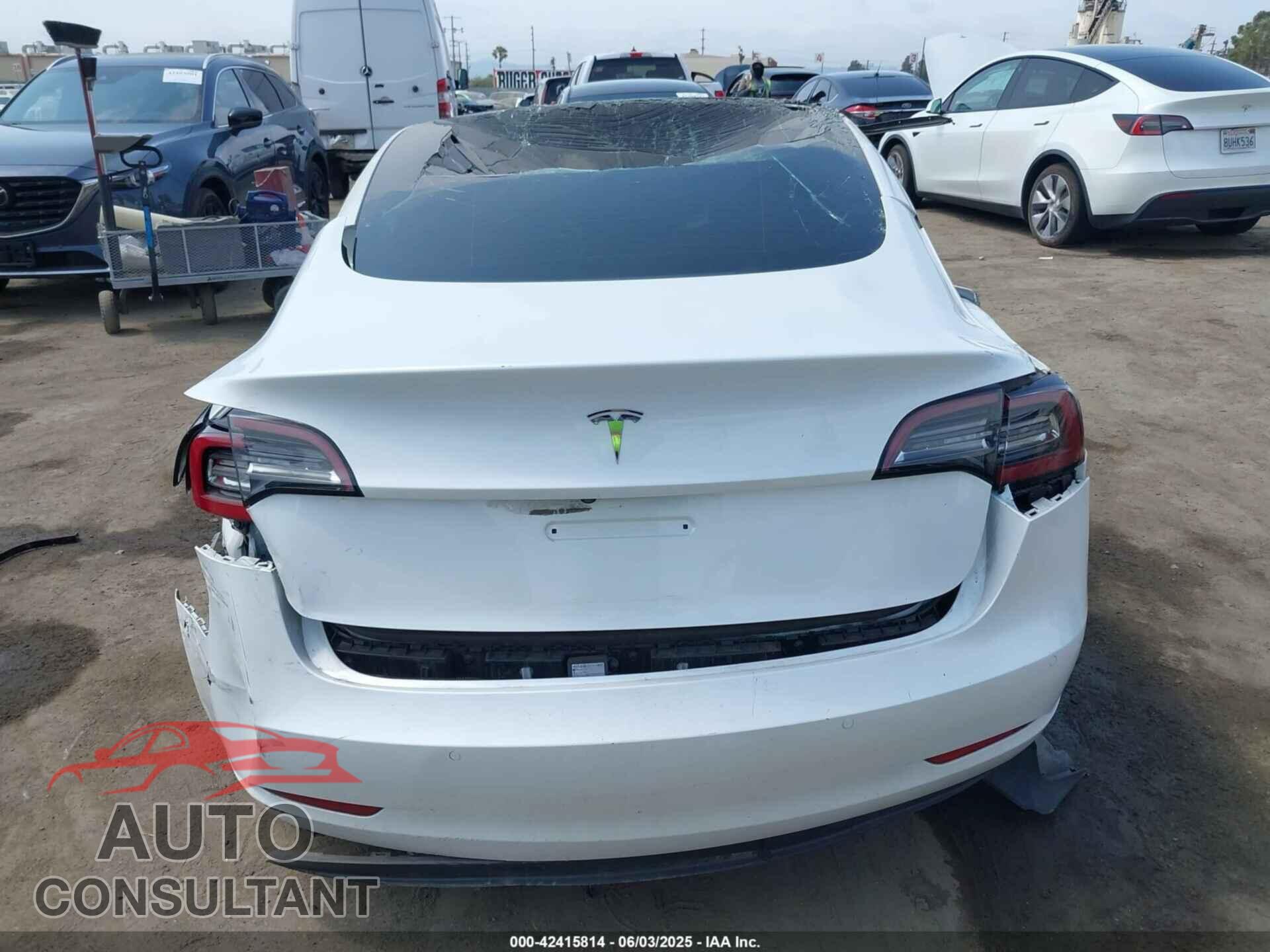 TESLA MODEL 3 2021 - 5YJ3E1EA3MF921206