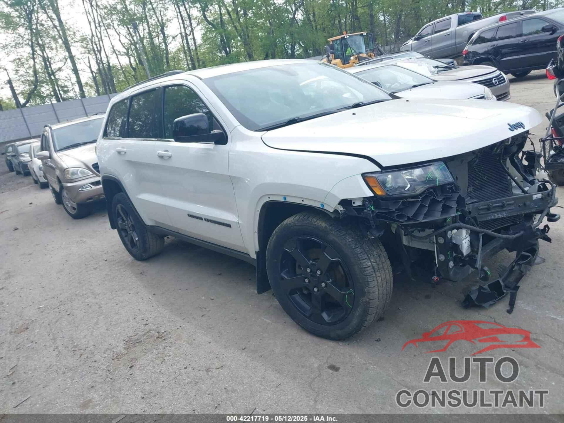 JEEP GRAND CHEROKEE 2019 - 1C4RJFAG8KC541396
