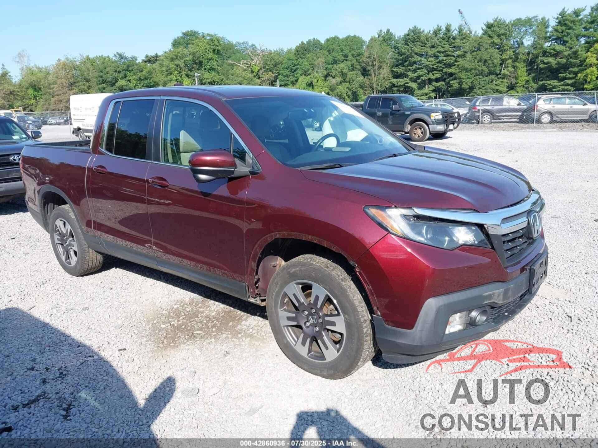 HONDA RIDGELINE 2019 - 5FPYK3F68KB033608