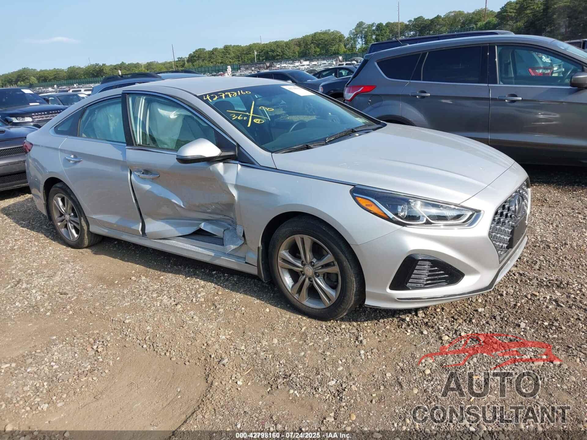 HYUNDAI SONATA 2019 - 5NPE34AF2KH805415