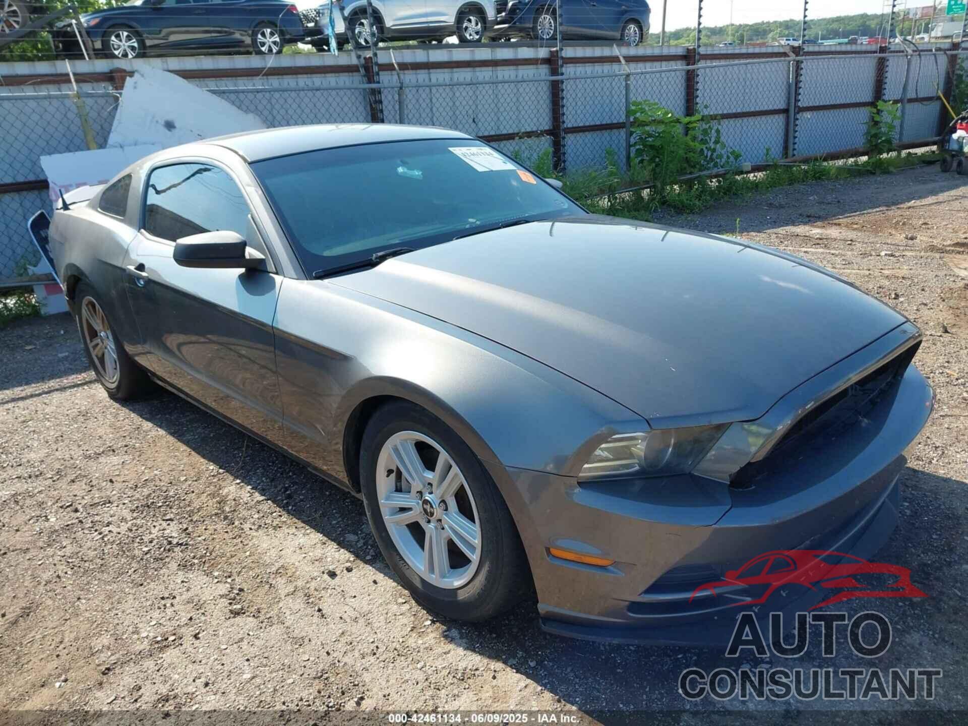FORD MUSTANG 2014 - 1ZVBP8AM2E5291192