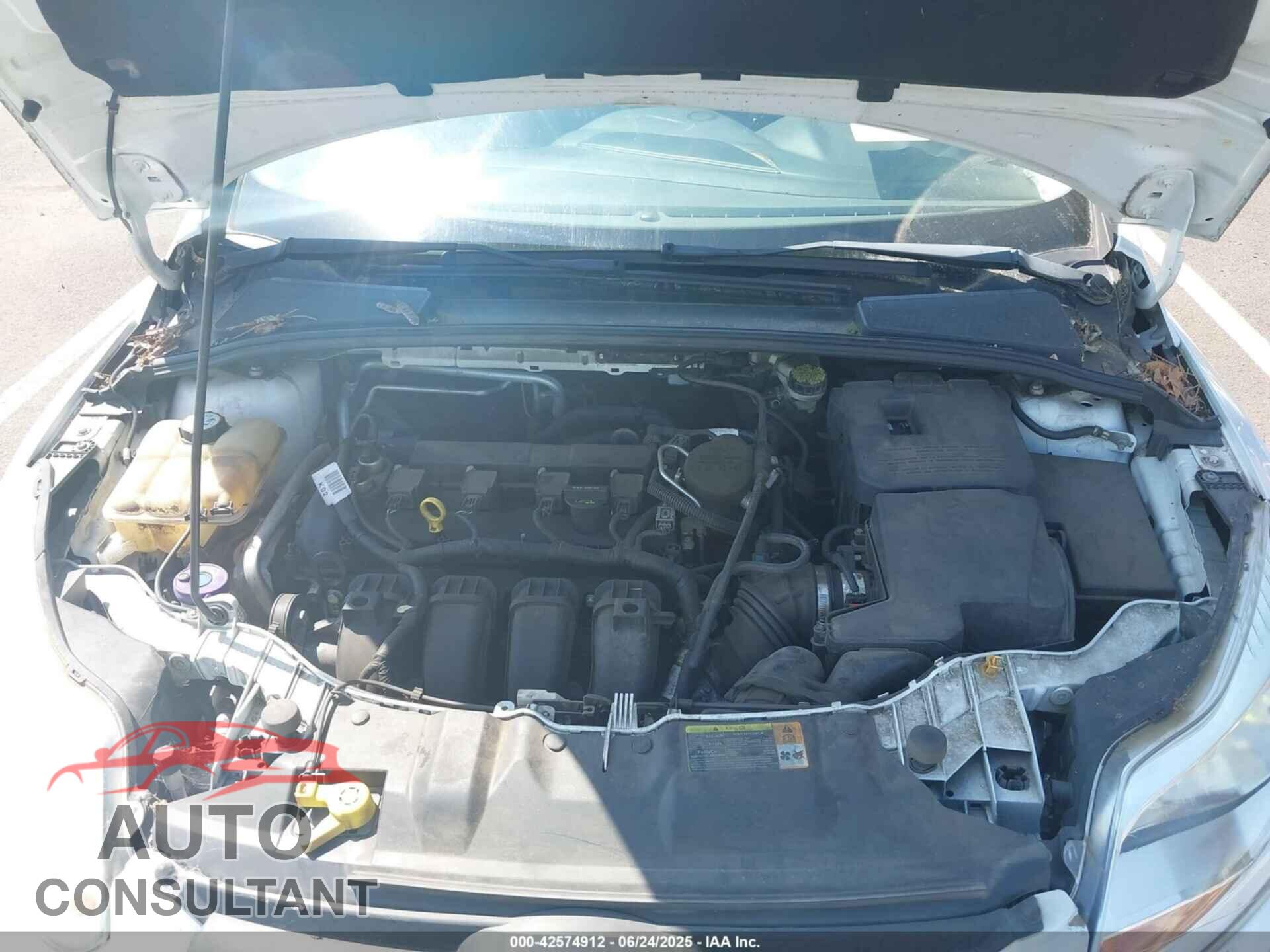 FORD FOCUS 2012 - 1FAHP3F26CL175855
