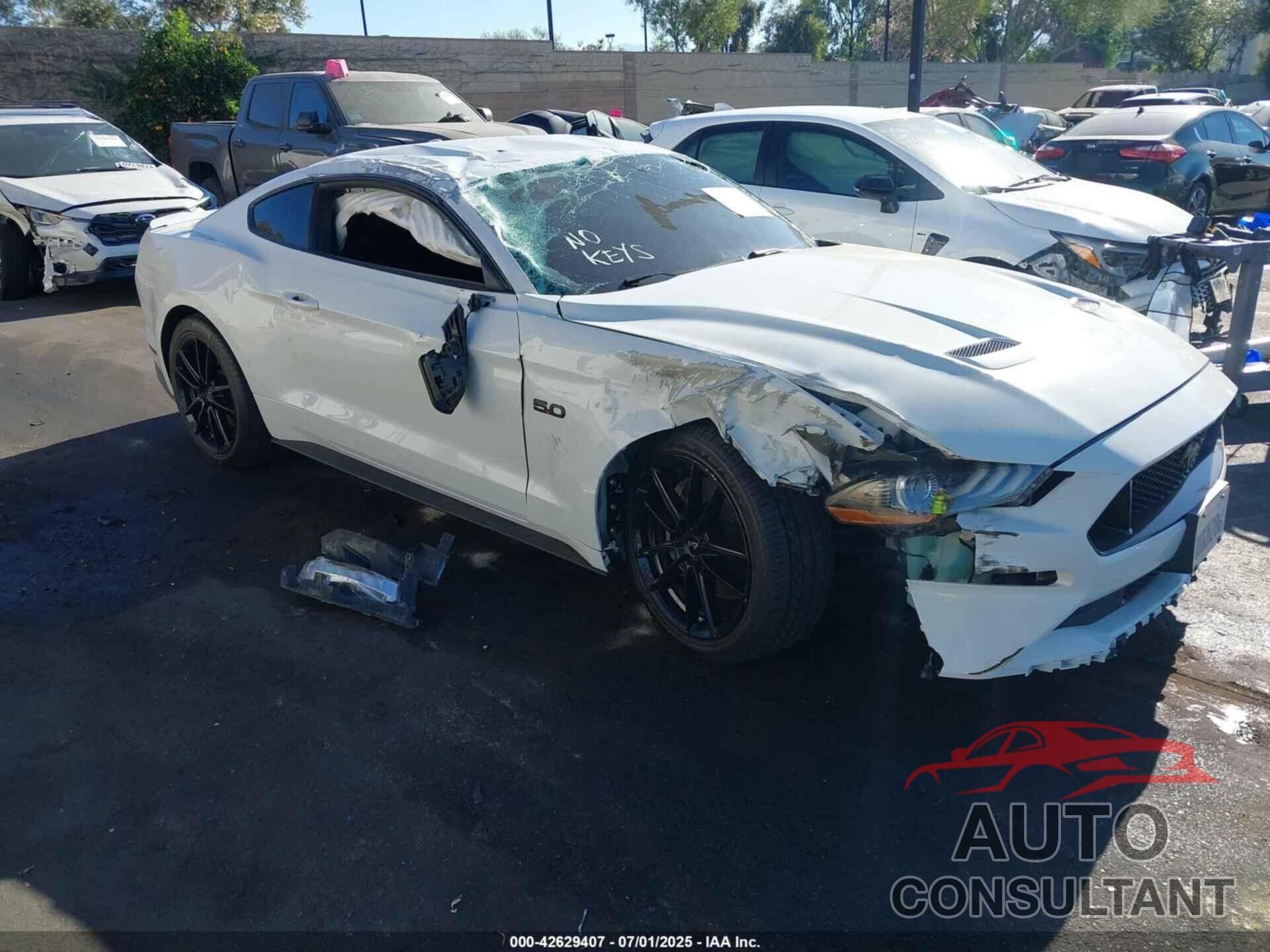 FORD MUSTANG 2019 - 1FA6P8CFXK5197758