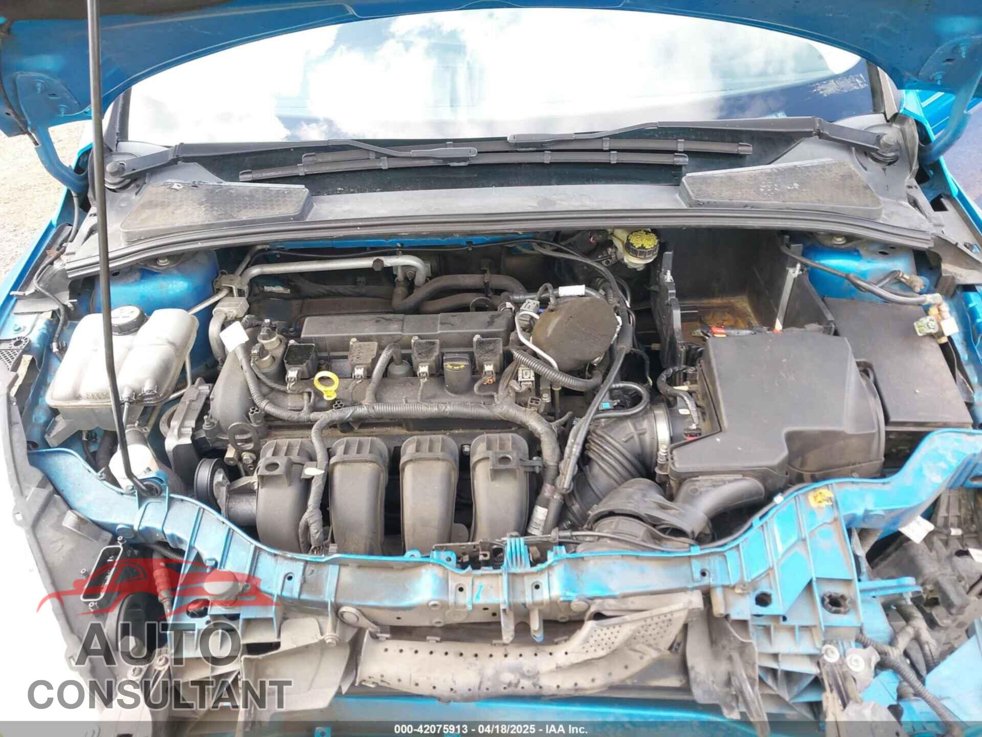 FORD FOCUS 2016 - 1FADP3F22GL282910