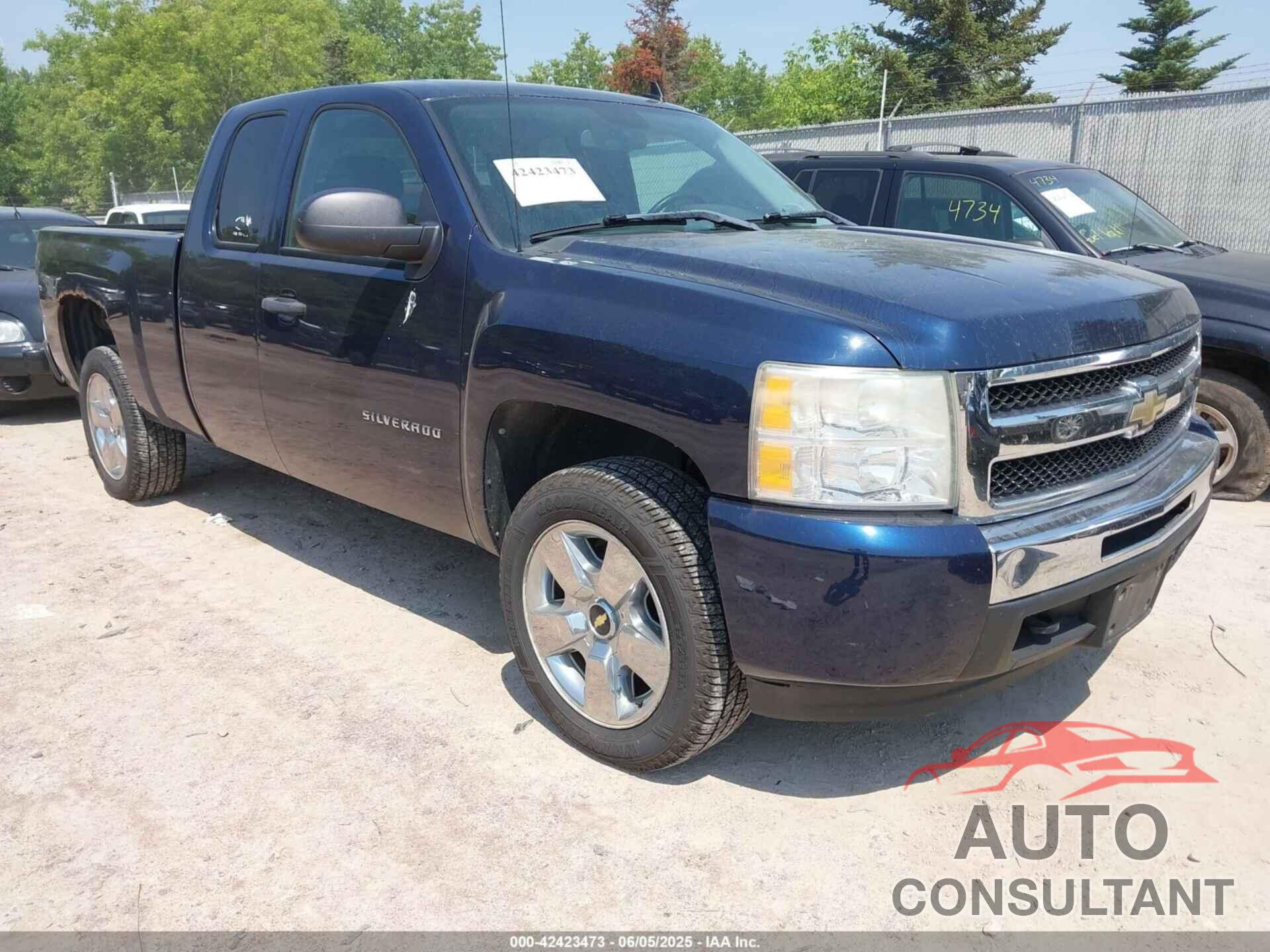 CHEVROLET SILVERADO 1500 2010 - 1GCSKSE34AZ285462