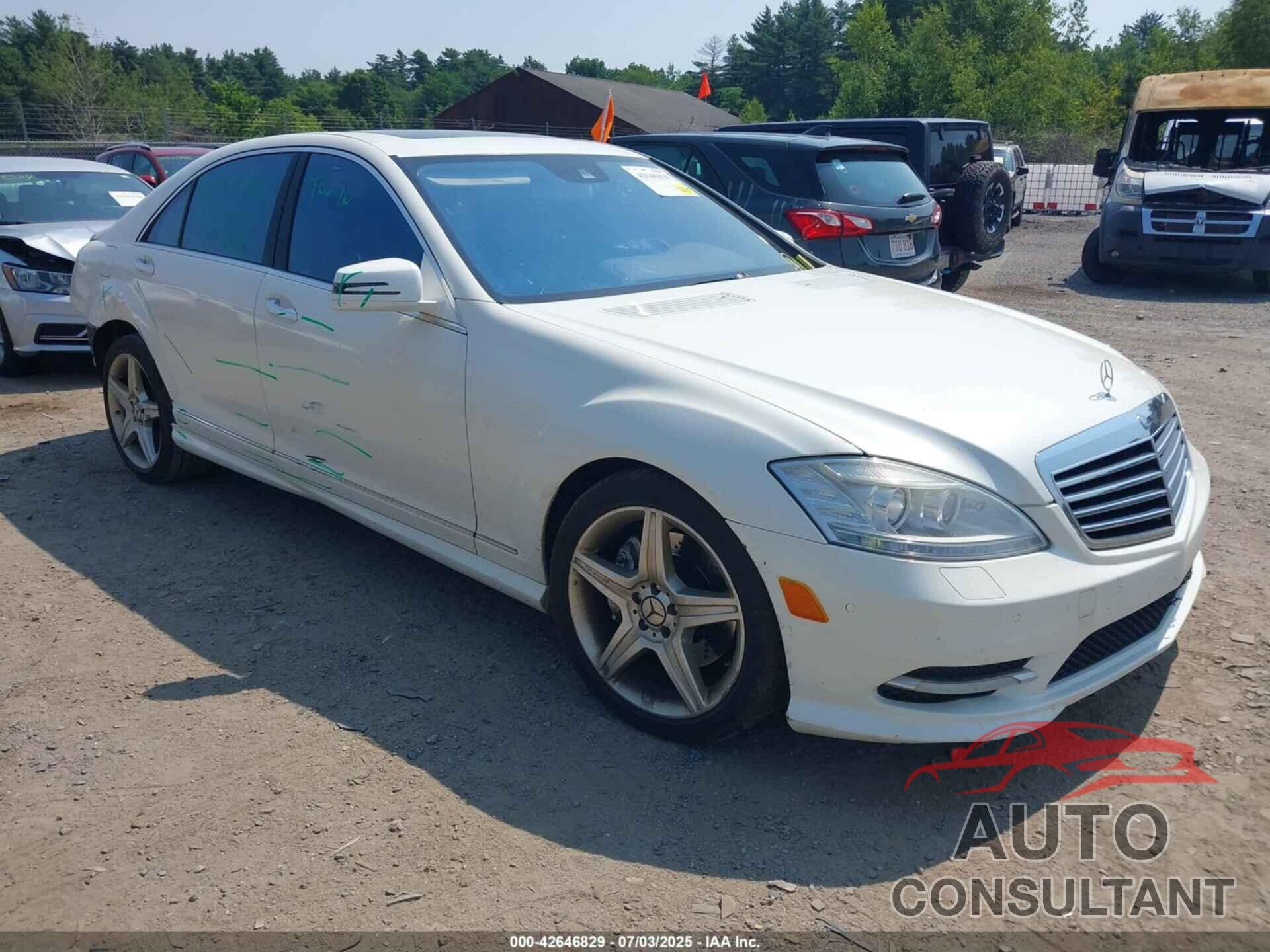 MERCEDES-BENZ S 550 2010 - WDDNG8GB9AA331703