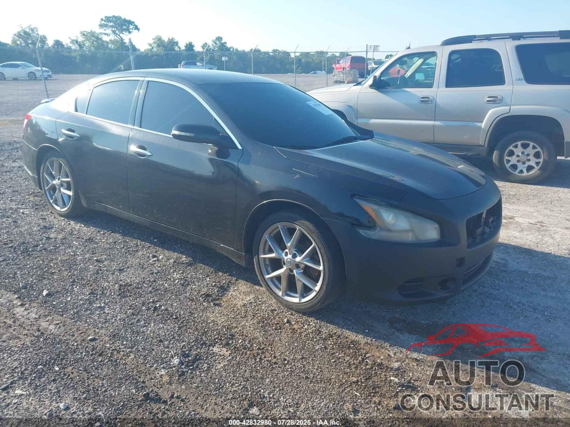 NISSAN MAXIMA 2010 - 1N4AA5APXAC861878