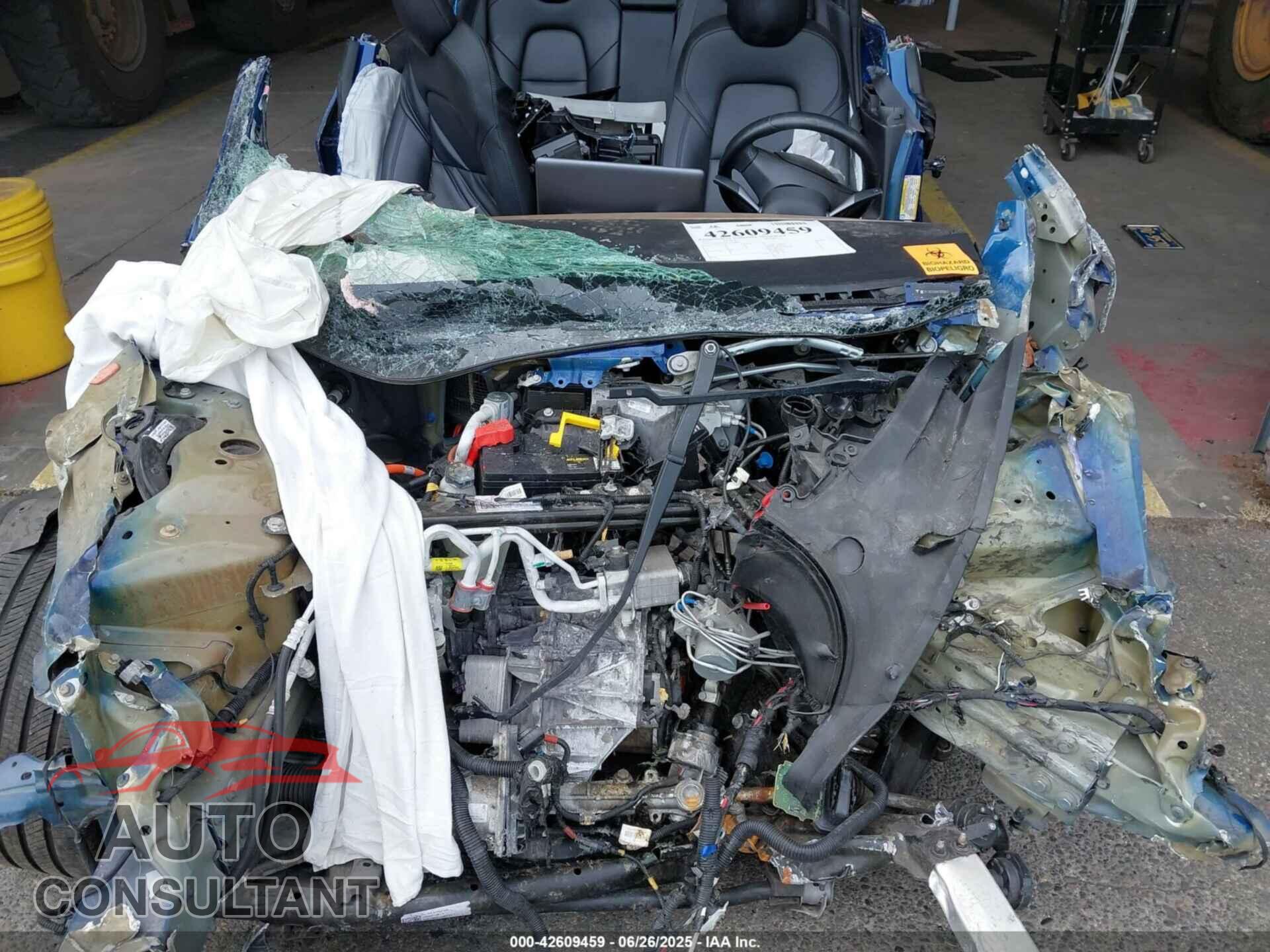 TESLA MODEL 3 2019 - 5YJ3E1EB9KF210843