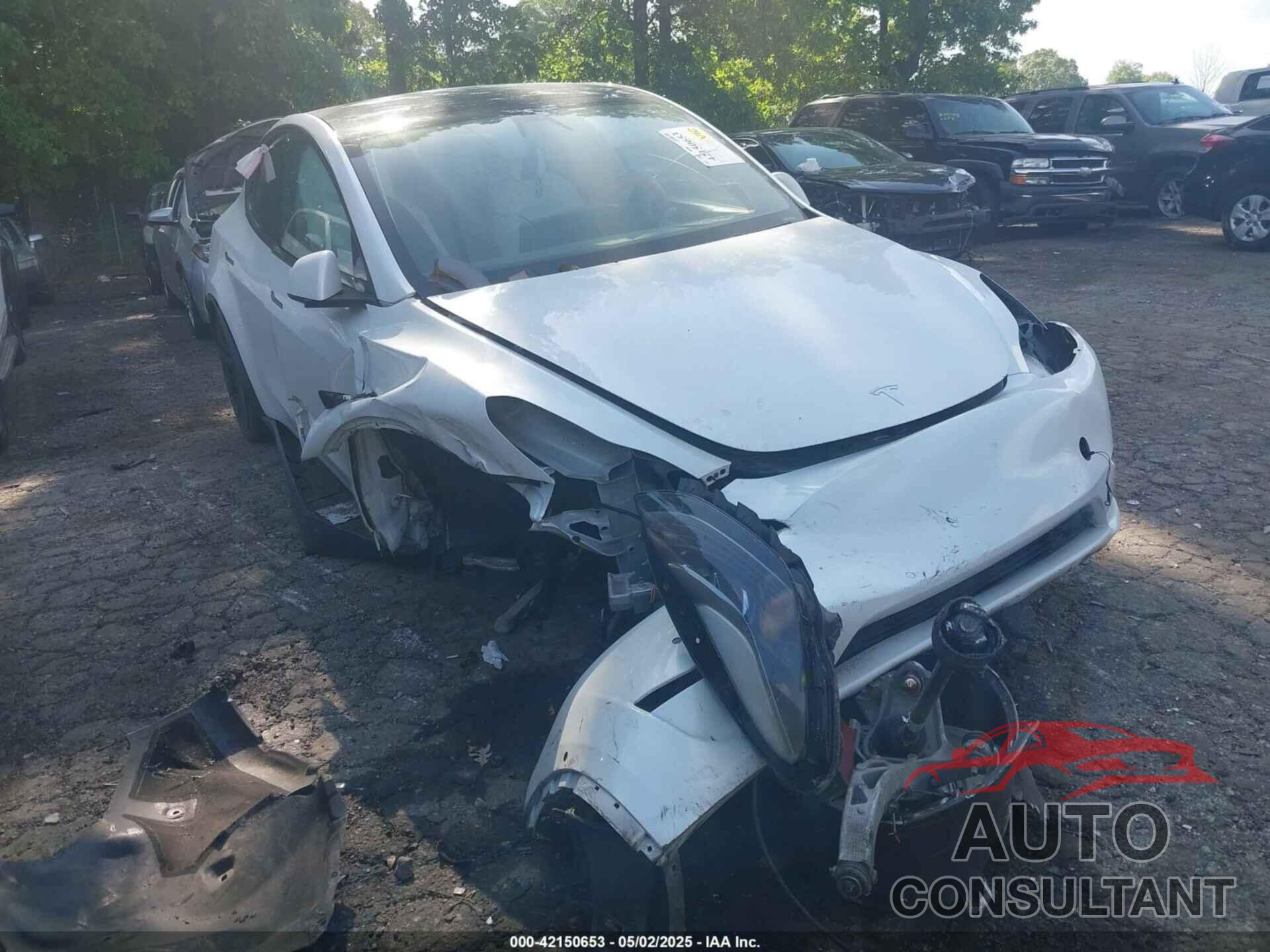 TESLA MODEL Y 2022 - 7SAYGDEF7NF380775