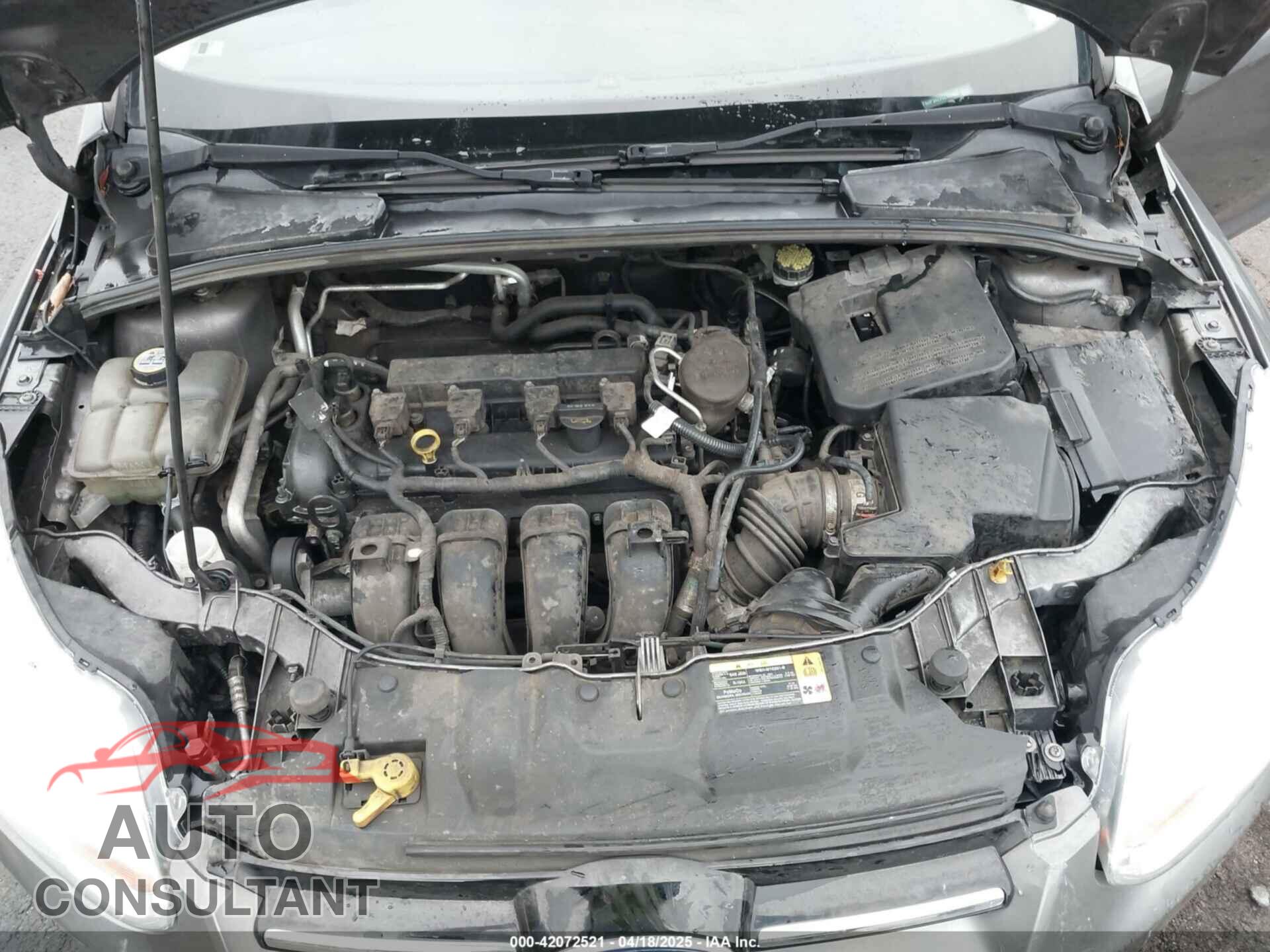 FORD FOCUS 2012 - 1FAHP3H2XCL145464