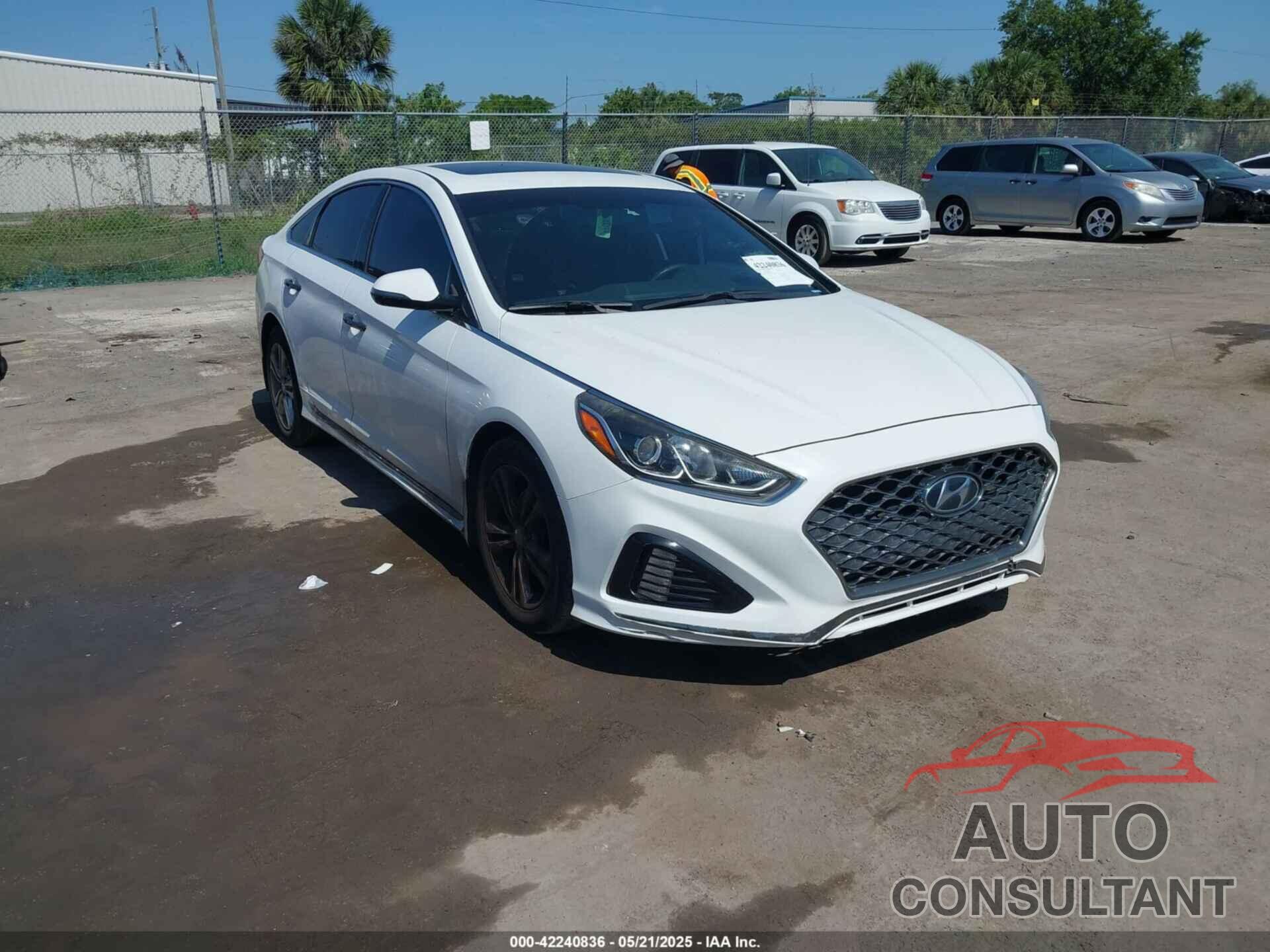 HYUNDAI SONATA 2019 - 5NPE34AFXKH774141