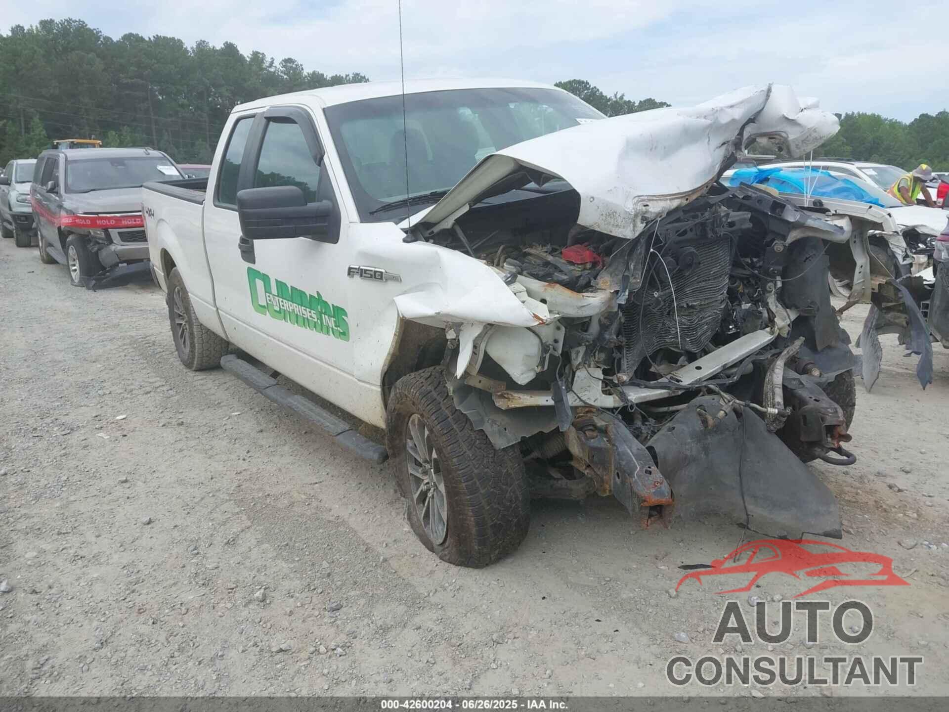 FORD F-150 2014 - 1FTFX1EF4EKE44938