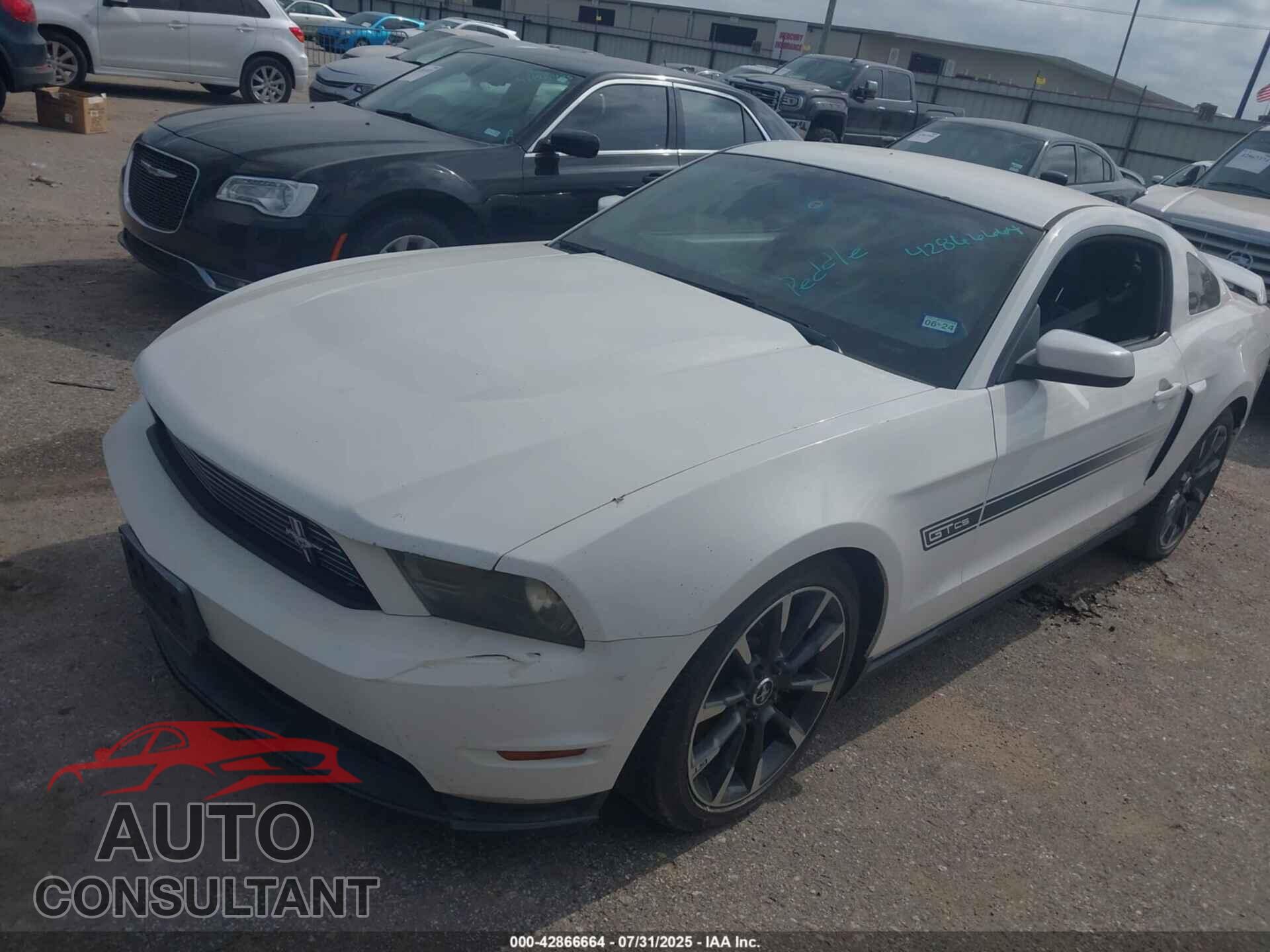 FORD MUSTANG 2011 - 1ZVBP8CF2B5161343