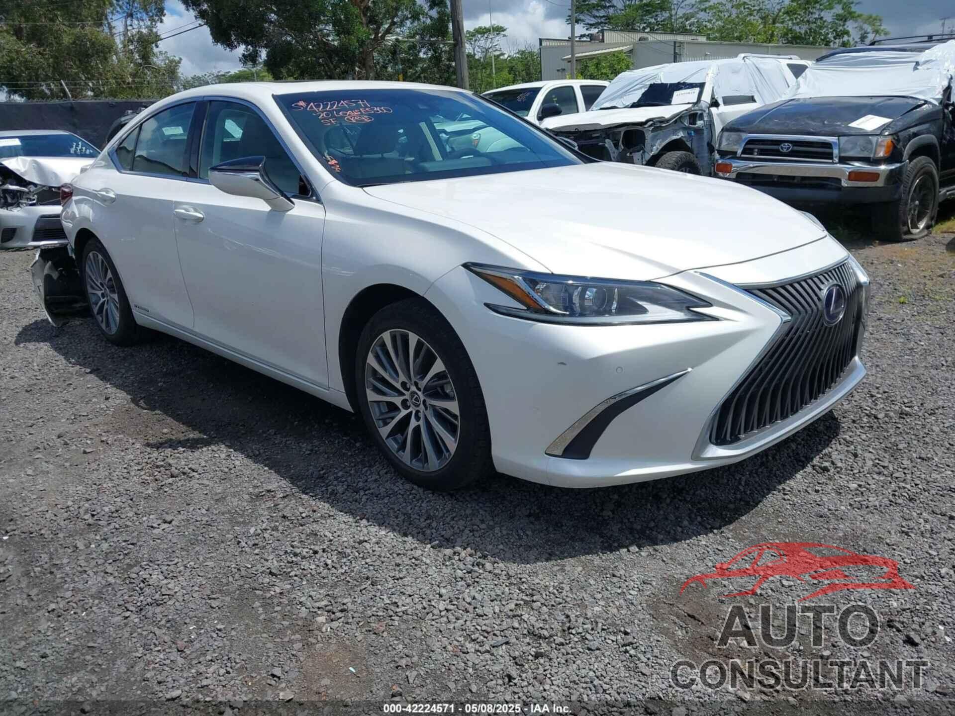 LEXUS ES 300H 2020 - 58AD21B19LU005884